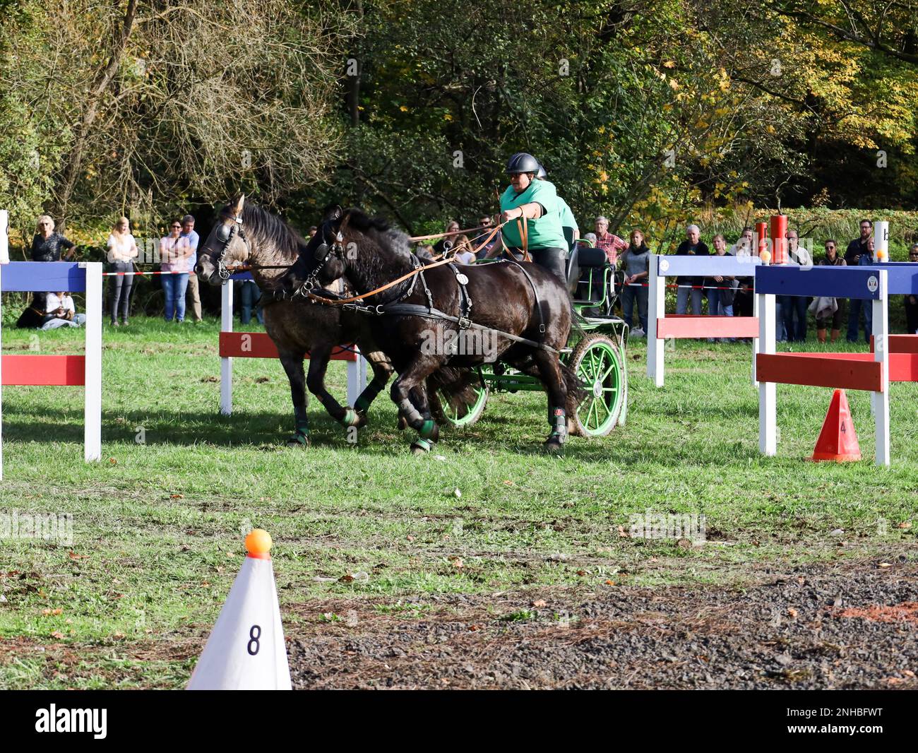horse show horse carriage Stock Photo - Alamy