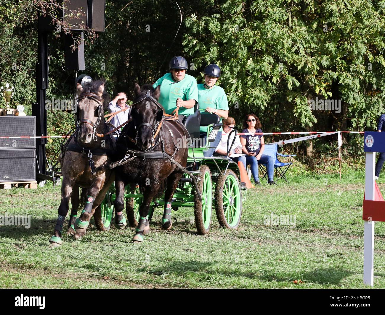 horse show horse carriage Stock Photo - Alamy