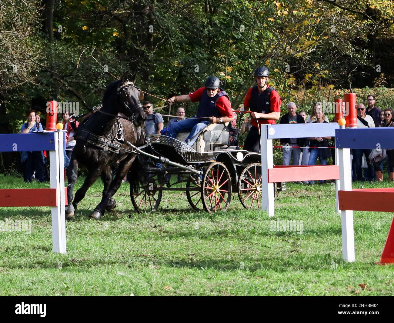 horse show horse carriage Stock Photo - Alamy