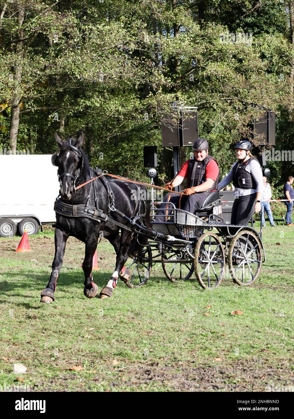 horse show horse carriage Stock Photo - Alamy
