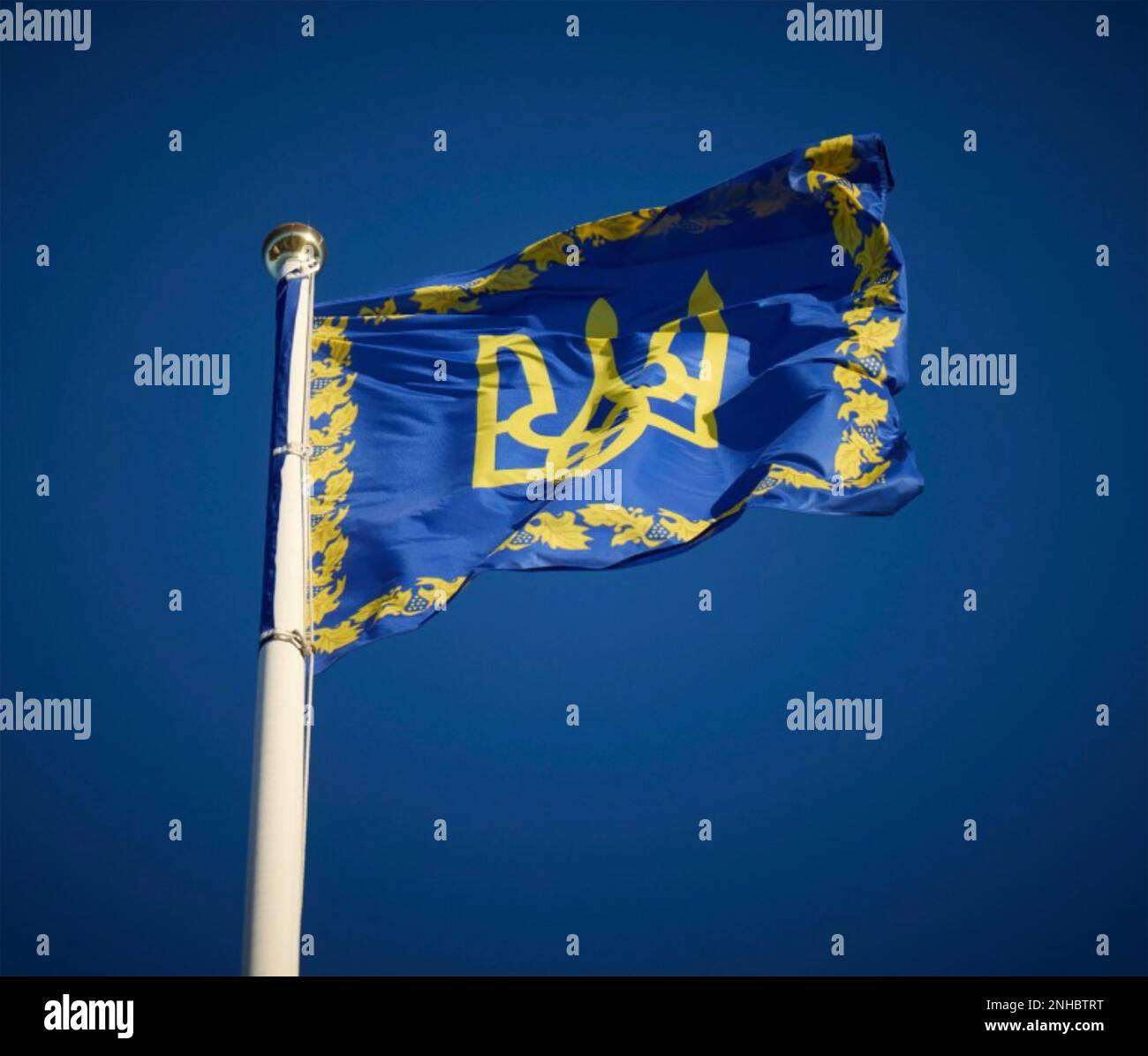 UKRAINIAN PRESIDENTIAL FLAG. Stock Photo