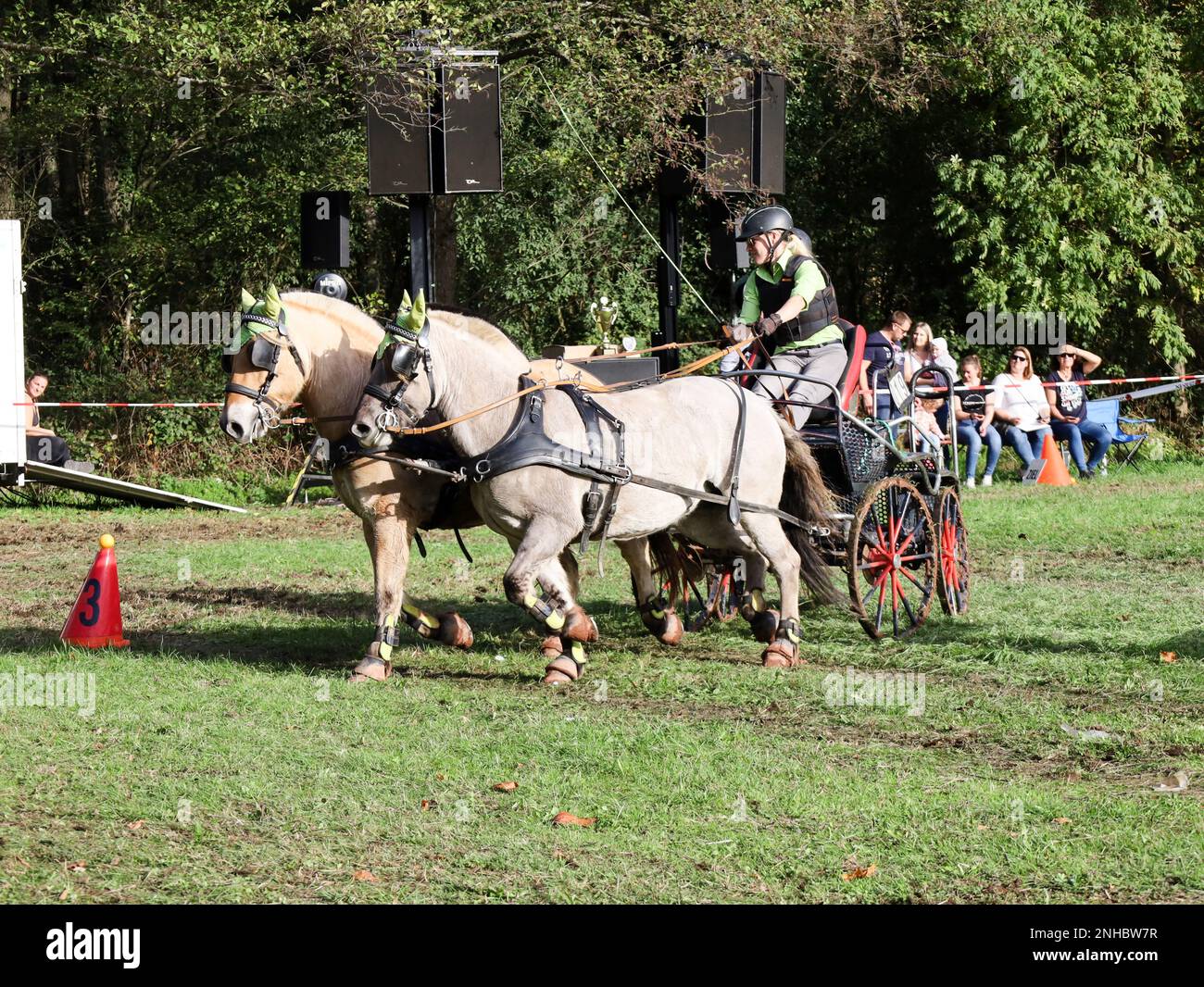 horse show horse carriage Stock Photo