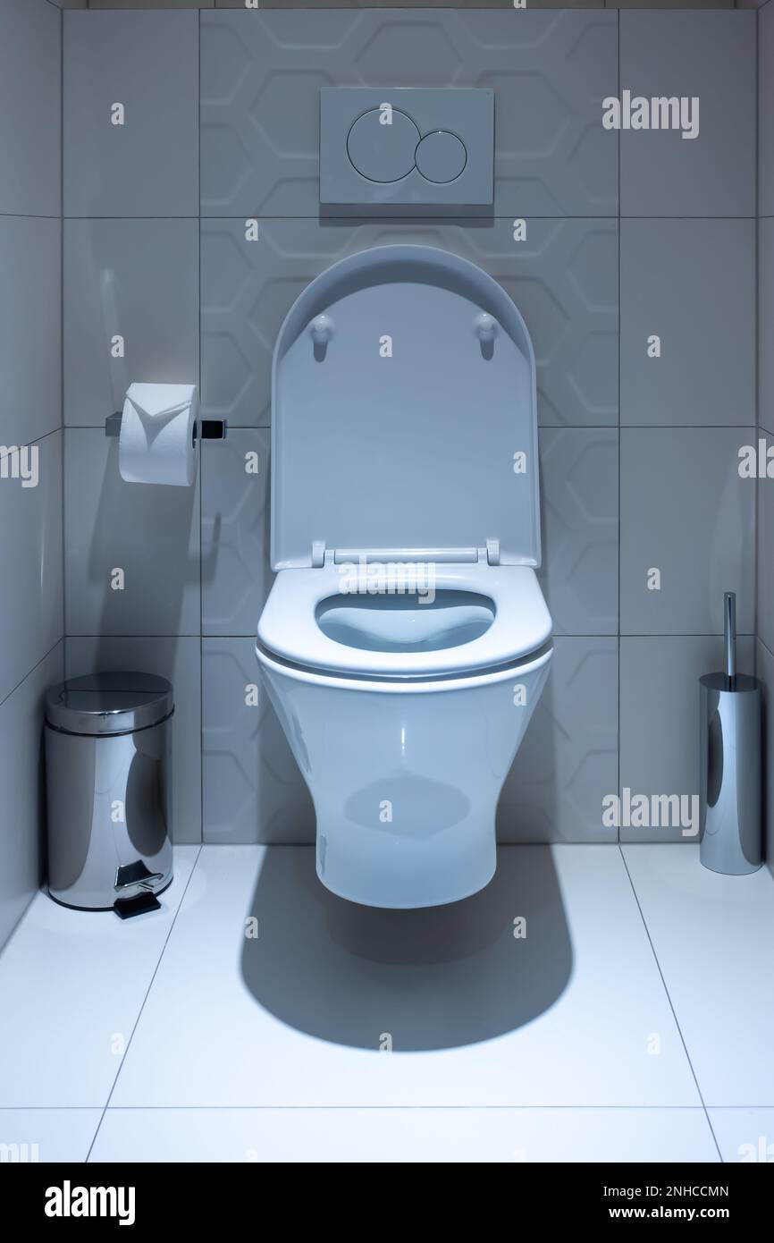 View of the white toilet bowl in the toilet. Bathroom finished with