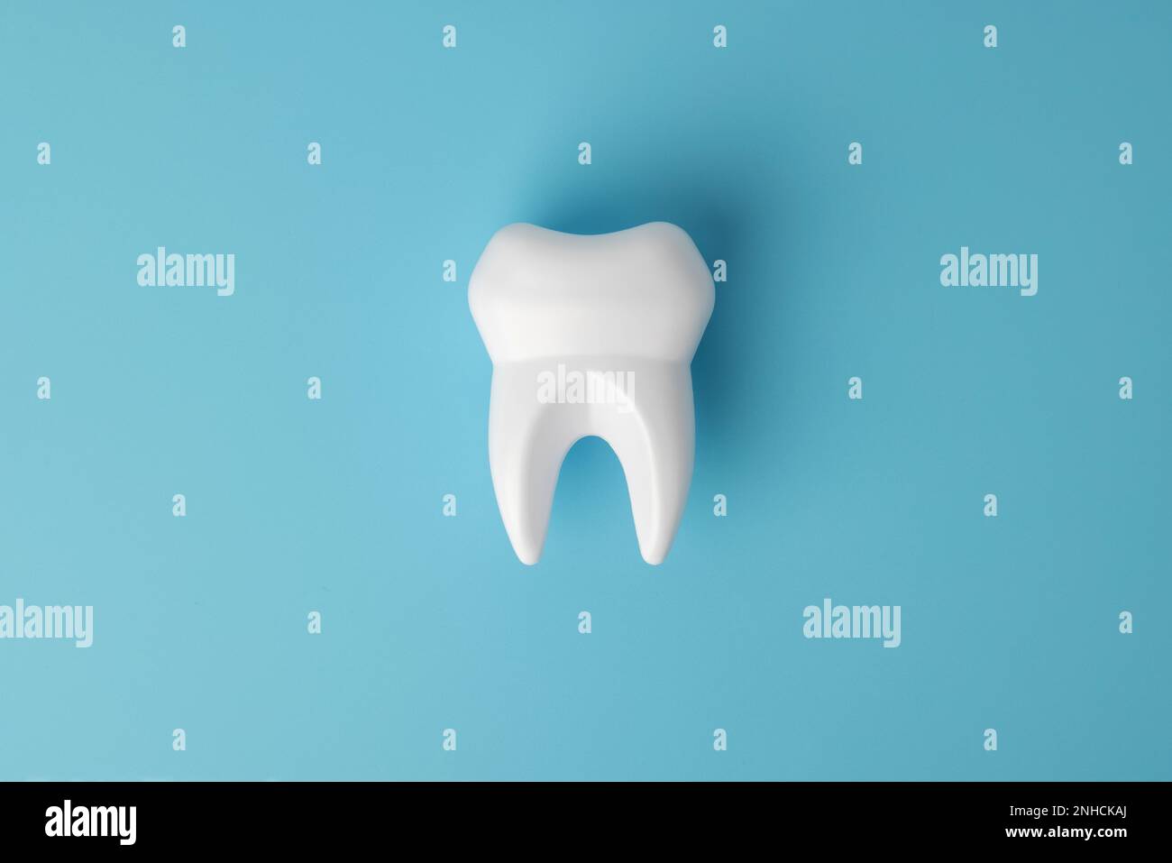White healthy tooth model on blue background with copy space Stock ...
