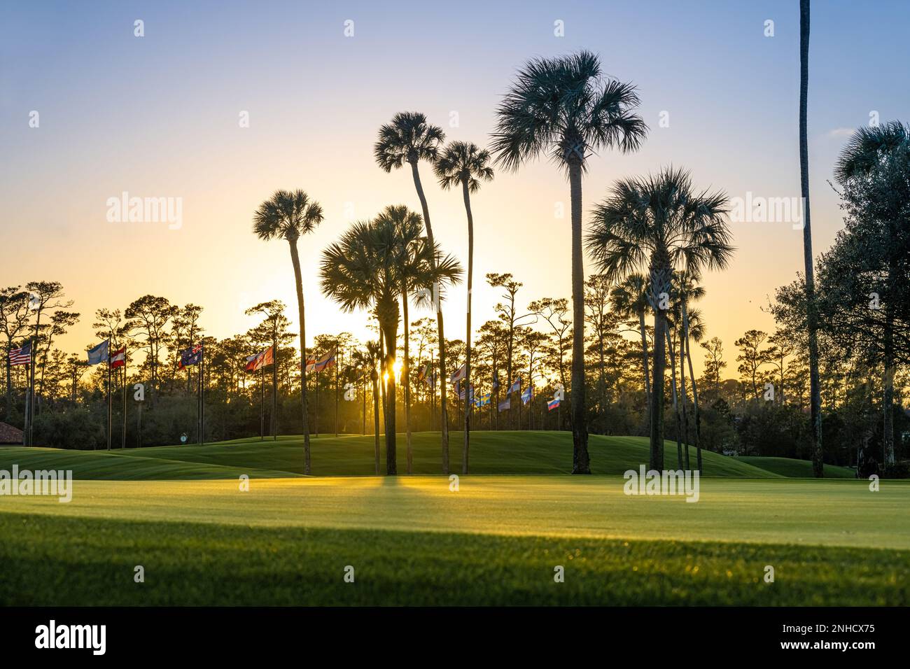 Sunset view of palm trees and international flags along THE PLAYERS Stadium Course at TPC Sawgrass, home of THE PLAYERS Championship in North Florida. Stock Photo