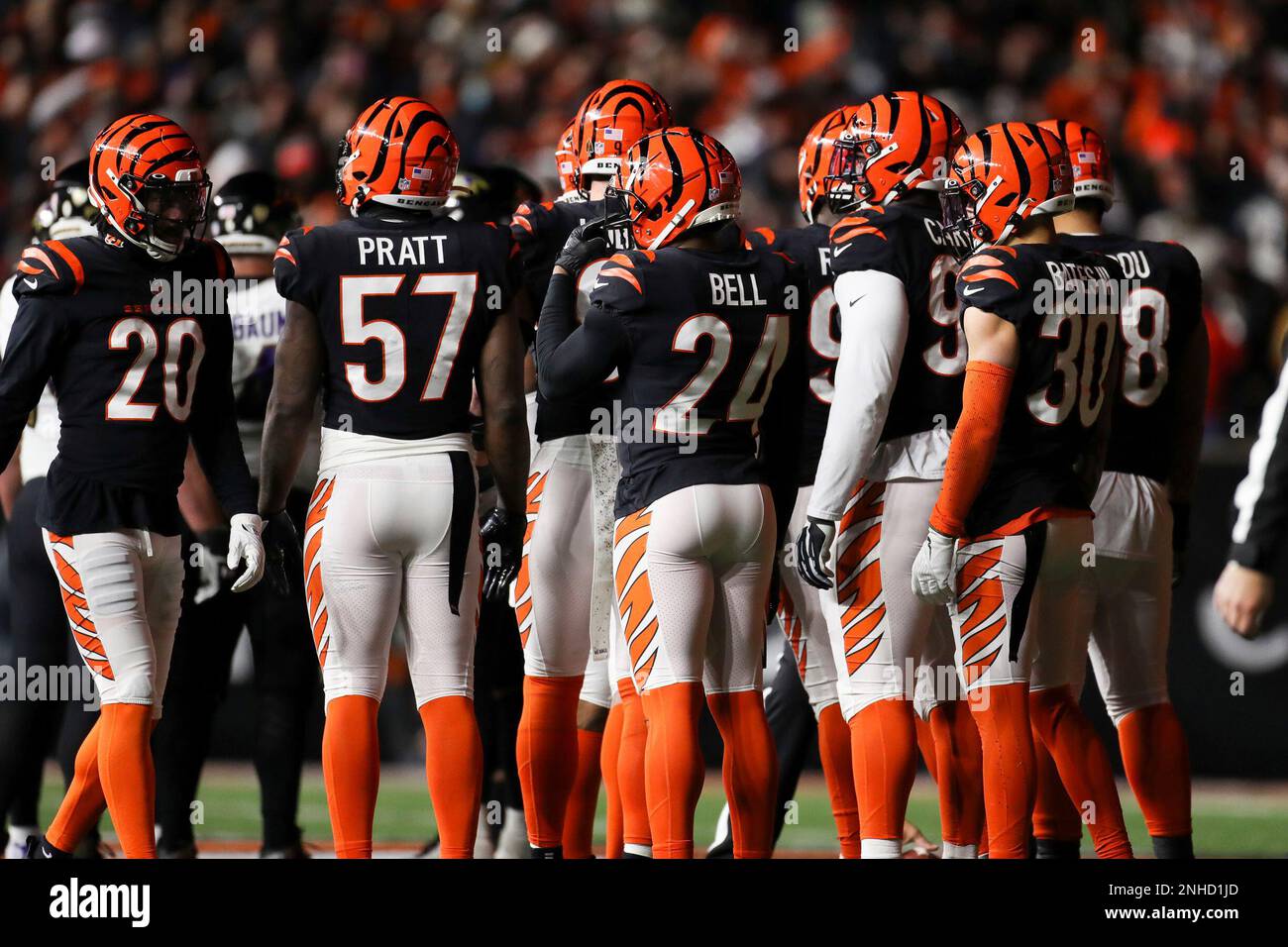 January 15, 2023: Cincinnati Bengals LB Logan Wilson celebrateâ€™s Hayden  Hurst fumble return during an NFL wild card playoff football game between  the Cincinnati Bengals and the Baltimore Ravens at Paycor Stadium