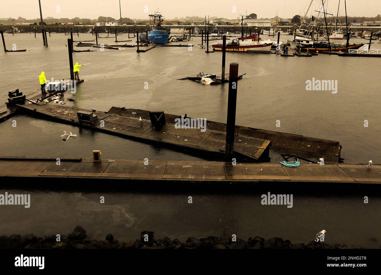 Sf chronicle tsunami