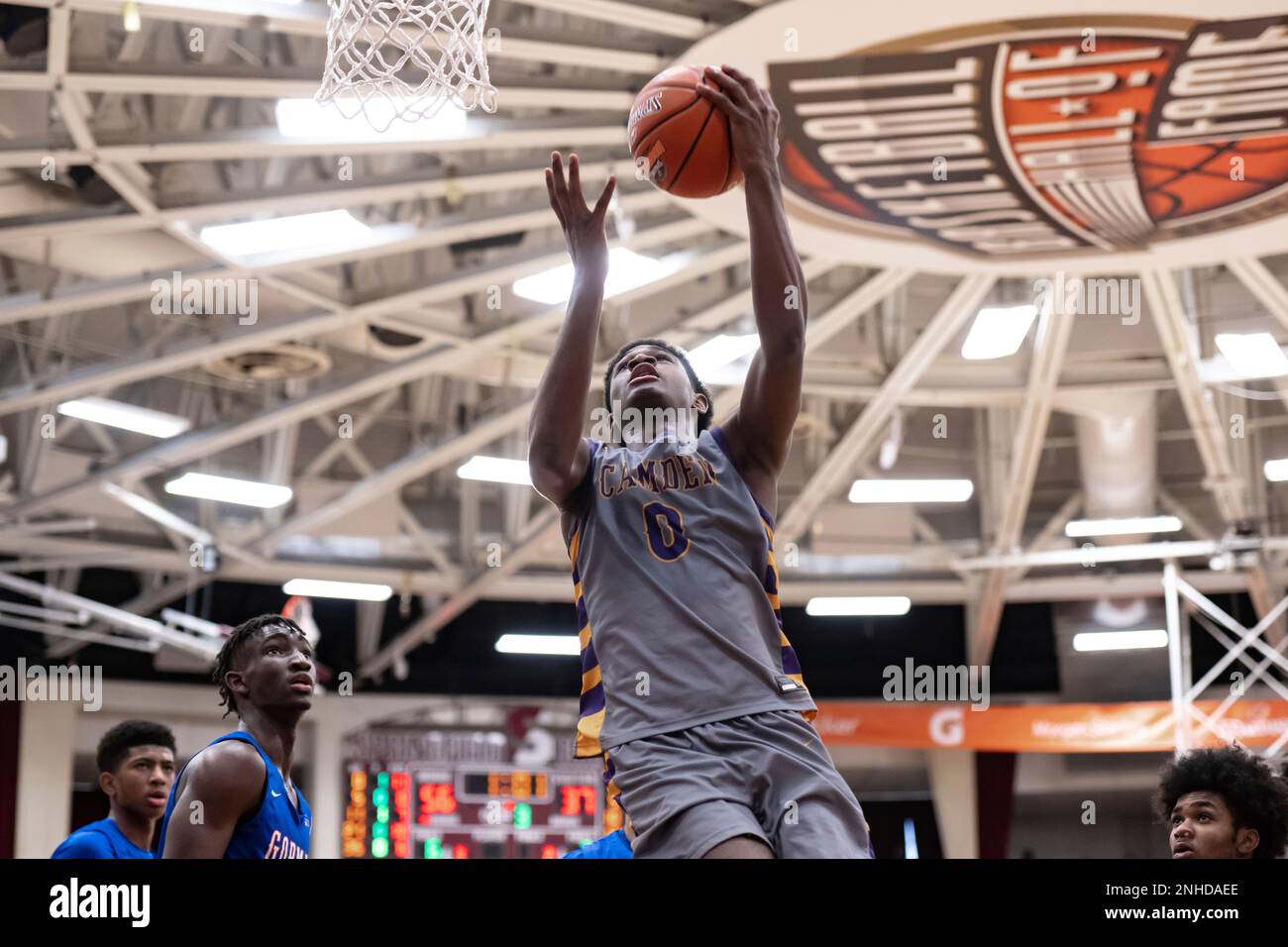 John richmond online basket