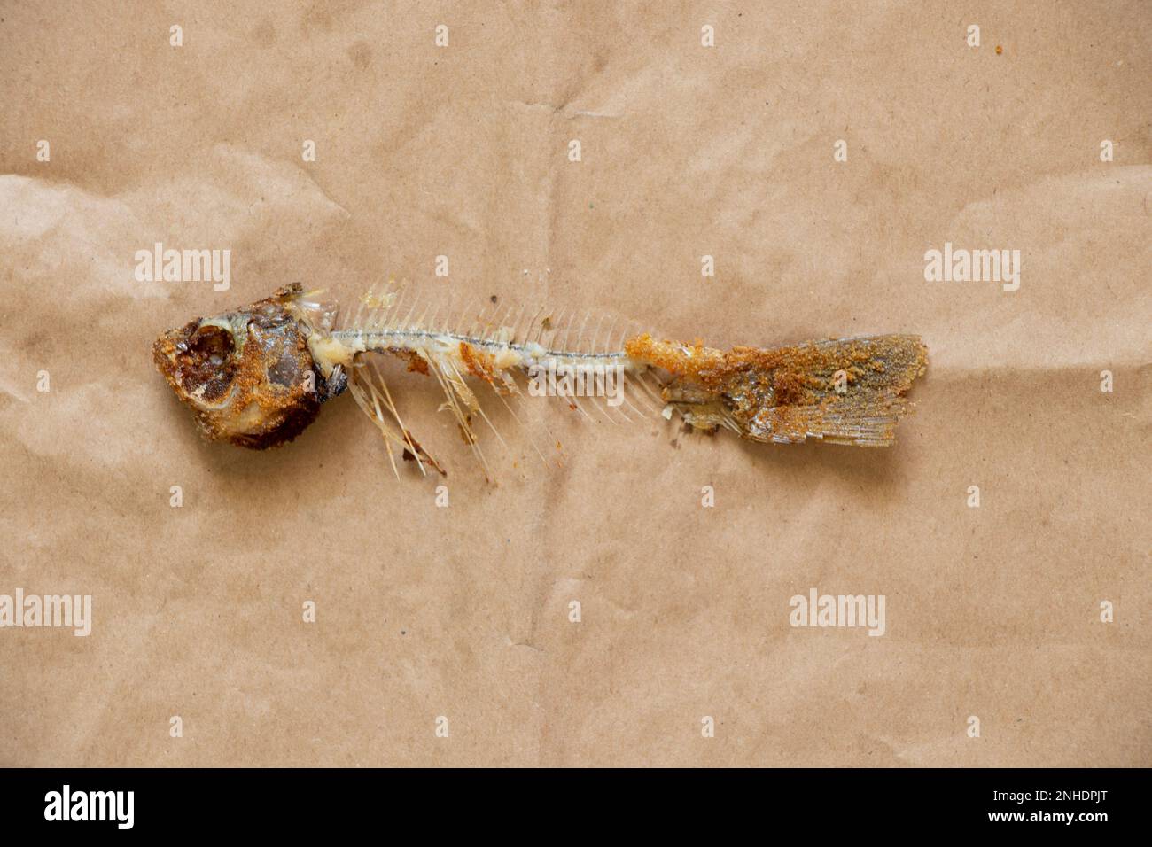 fried fish skeleton on brown background close up Stock Photo