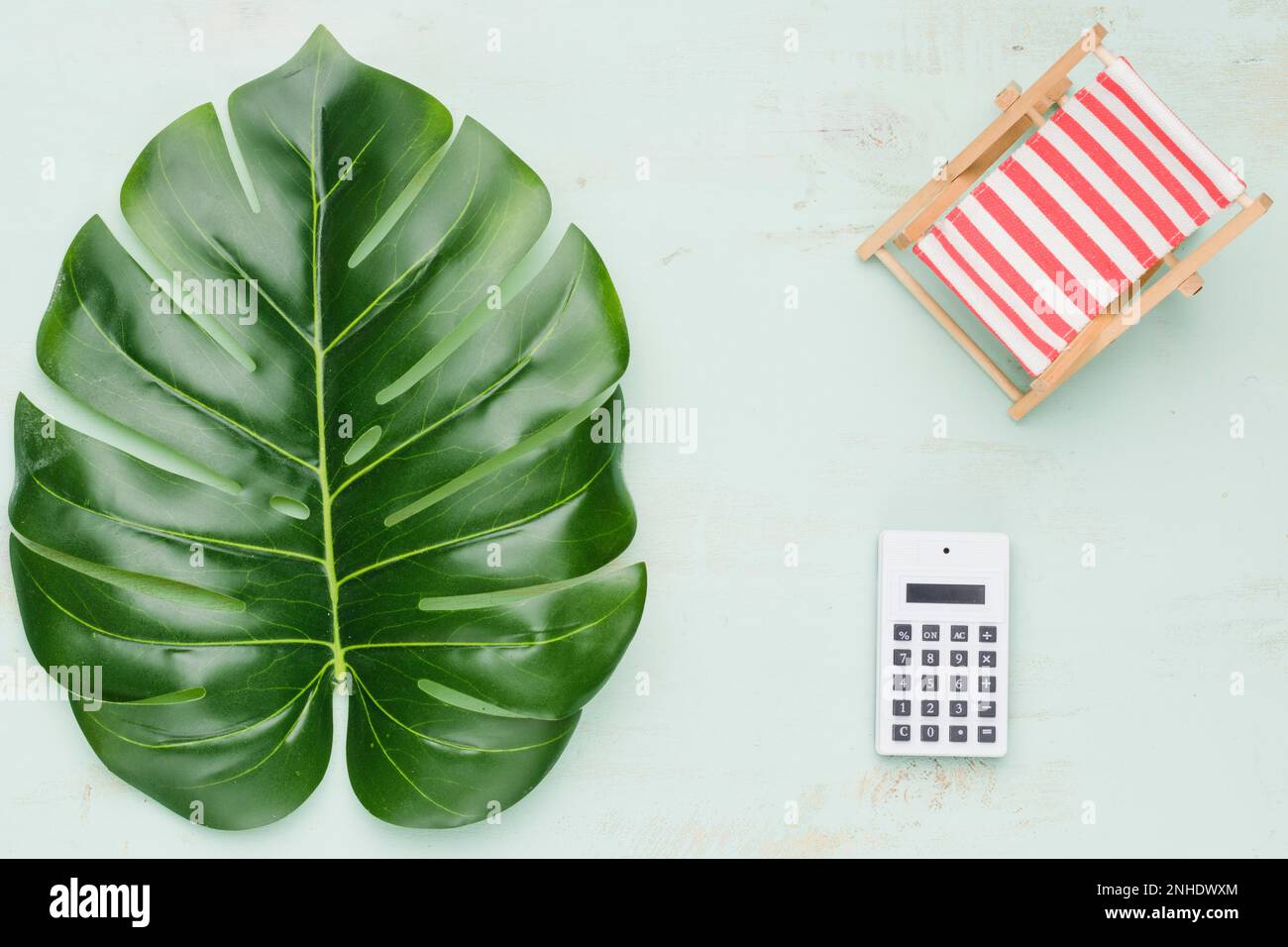 tropical plant calculator. High resolution photo Stock Photo Alamy