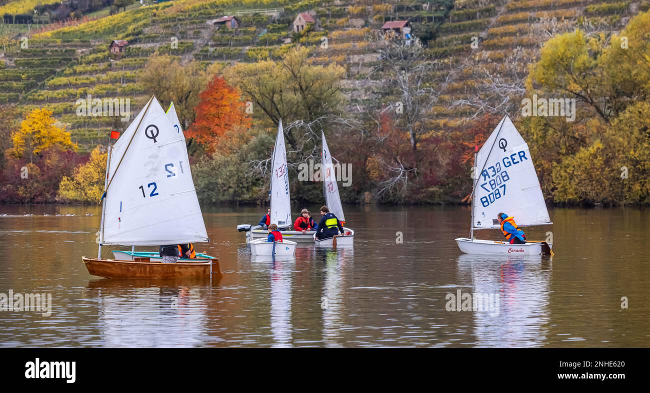 Regatta with the classic training boat Optimist, sailing boat, Max-Eyth-See, landscape in autumn, Stuttgart, Baden-Wuerttemberg, Germany Stock Photo