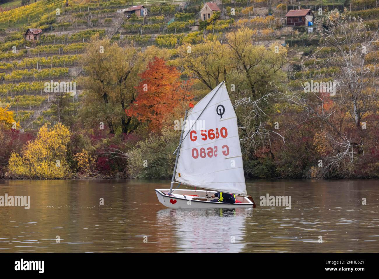 Regatta with the classic training boat Optimist, sailing boat, Max-Eyth-See, landscape in autumn, Stuttgart, Baden-Wuerttemberg, Germany Stock Photo