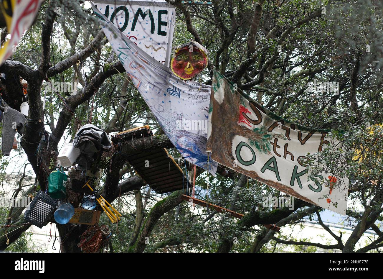 Protesters hang banners in support of their cause to save the trees of ...