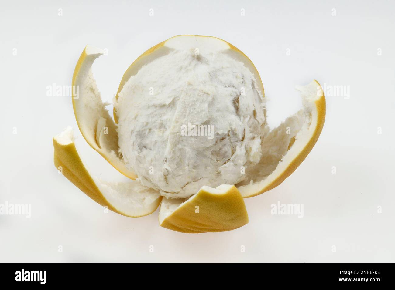 Peeled chinese grapefruit (Citrus maxima Stock Photo Alamy