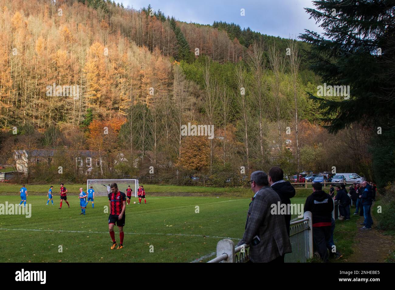 Abertillery bluebirds hires stock photography and images Alamy