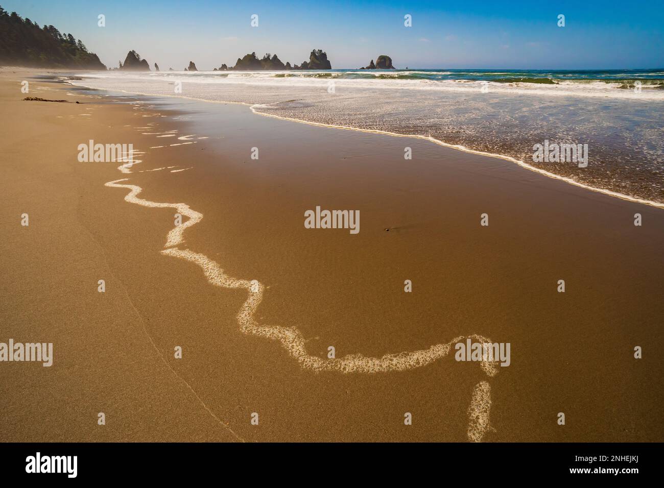 Broad expanse of sand at low tide on Shi Shi Beach in Olympic National