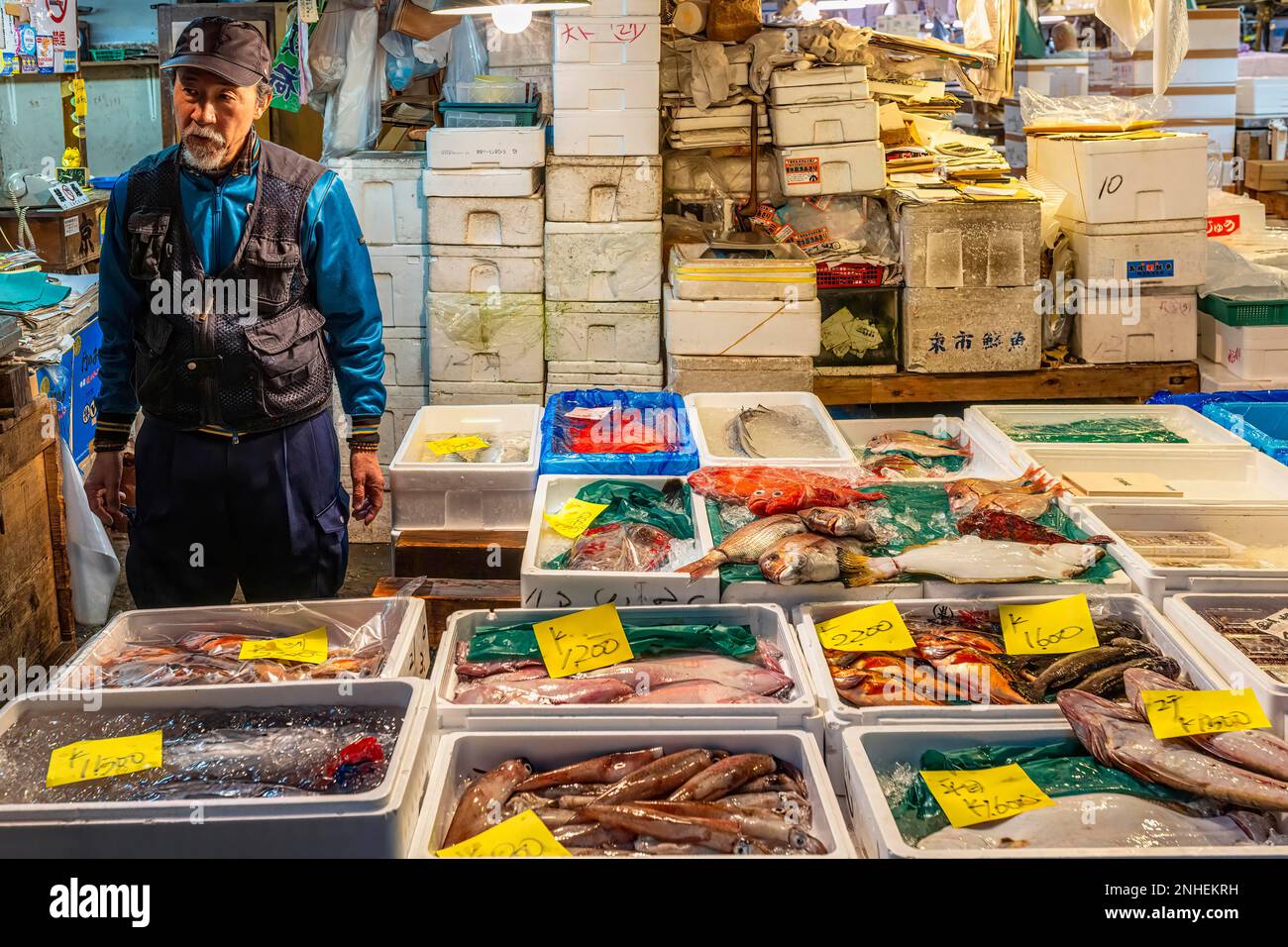 Tokyo Japan. Fish Market. Fishmonger Stock Photo Alamy