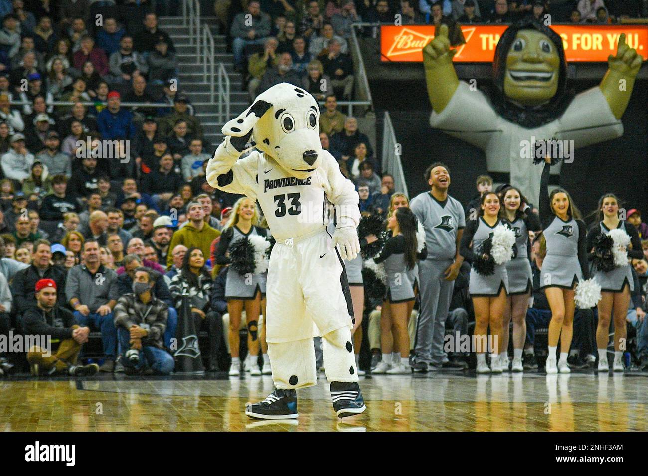PROVIDENCE, RI JANUARY 07 Providence Friars mascot Huxley performs