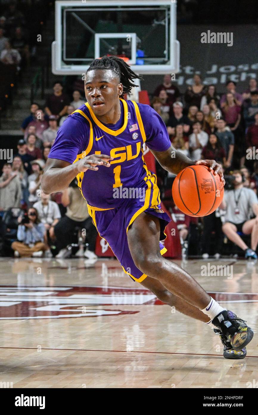 LSU Tigers guard Cam Hayes (1) tries to make a move against