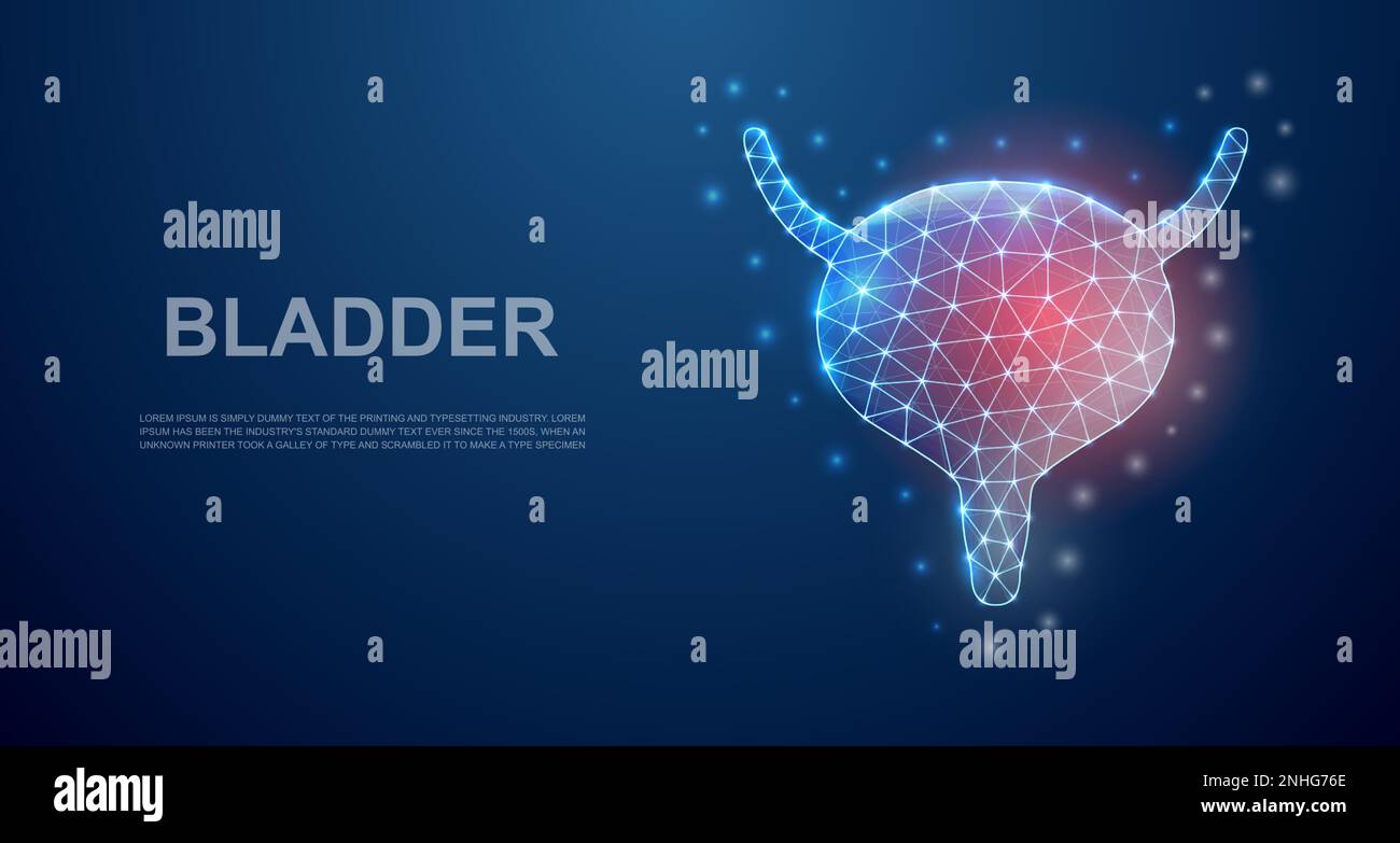 Bladder 3d low poly symbol with pain center for landing page template ...
