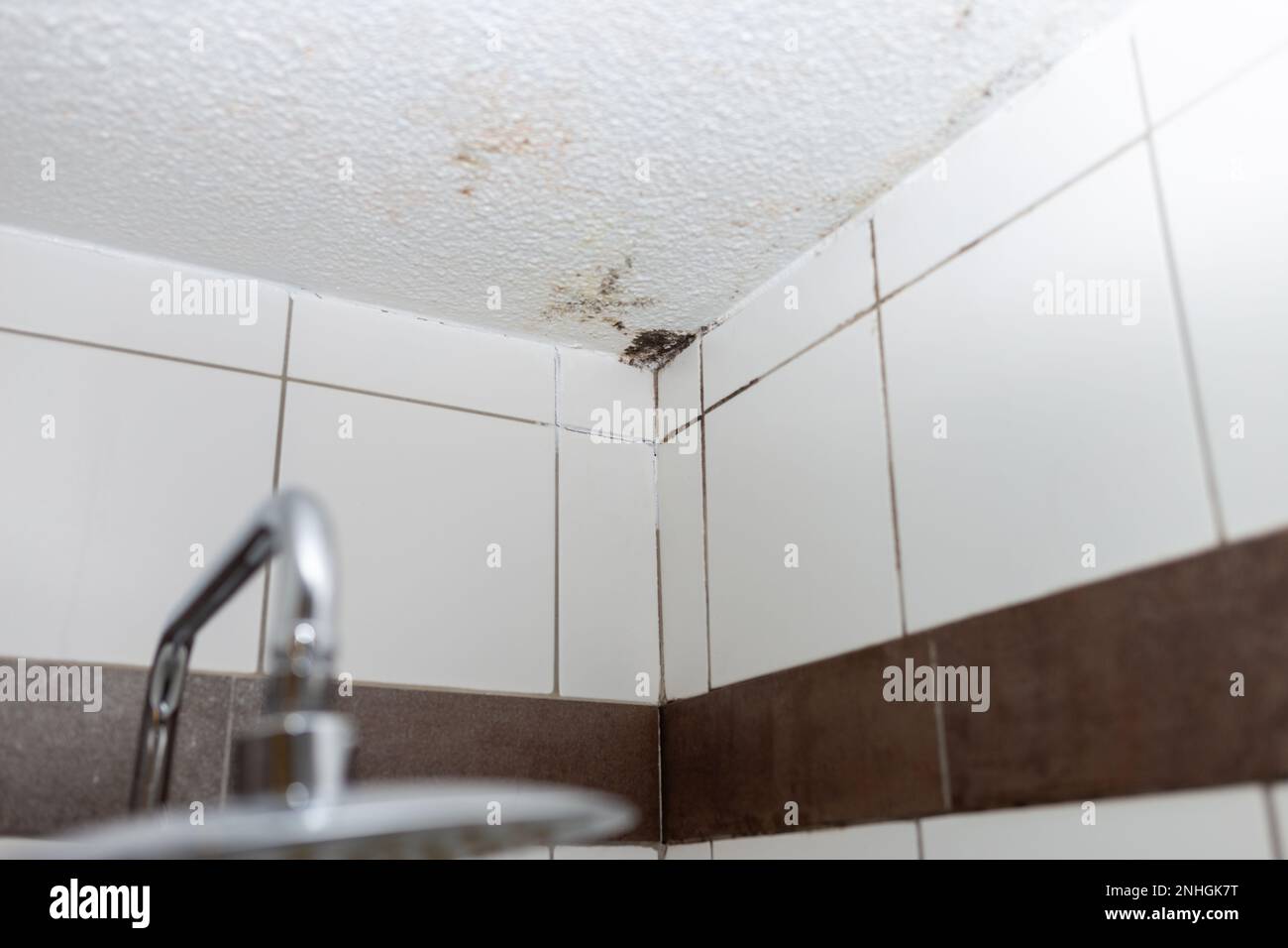 Mold house ceiling moisture. Simple, modern style, moist wall Stock