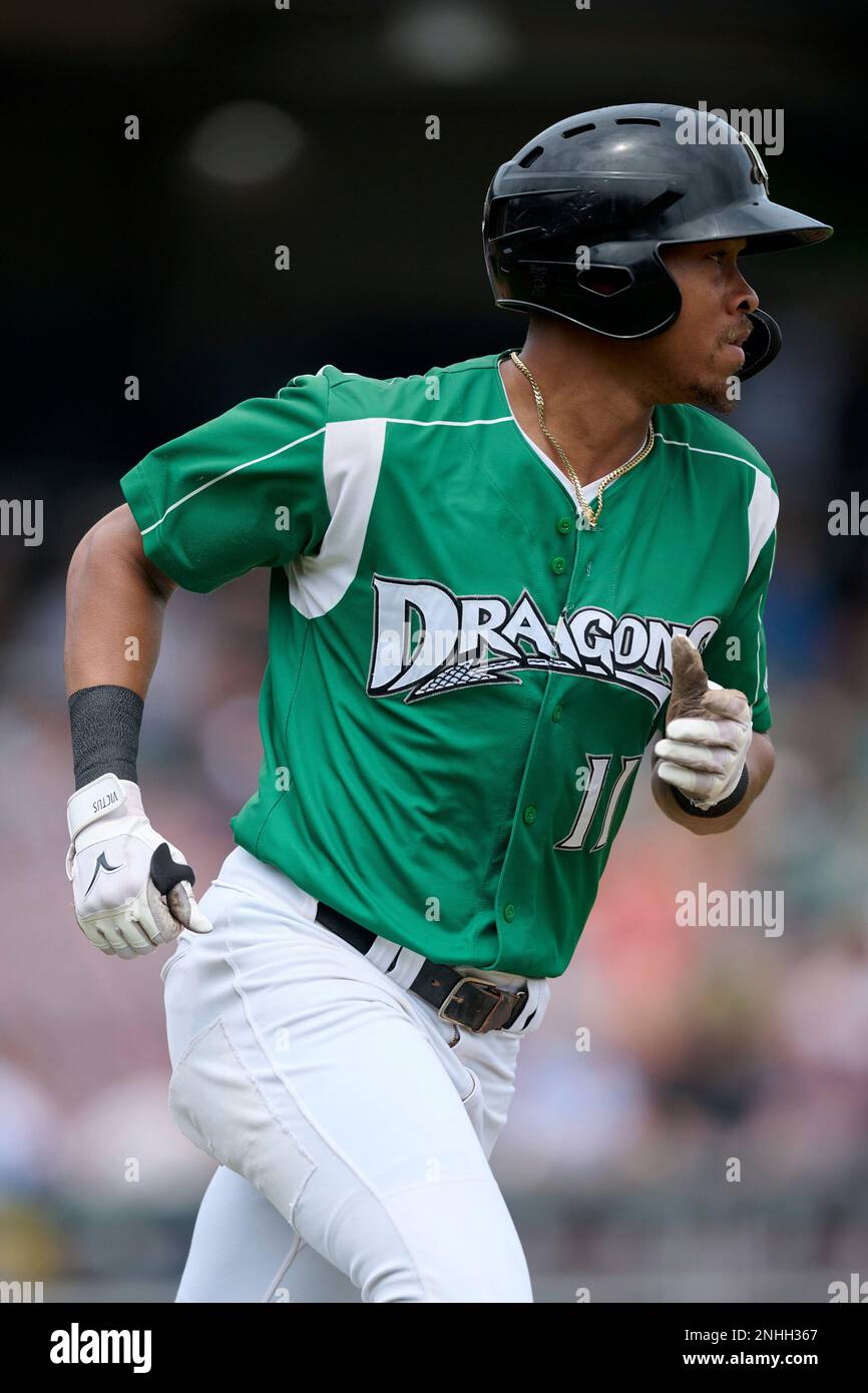 Running from - Dayton Dragons Professional Baseball Team