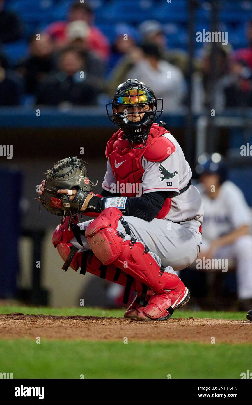 Great Lakes Loons catcher Diego Cartaya (32) during a Midwest