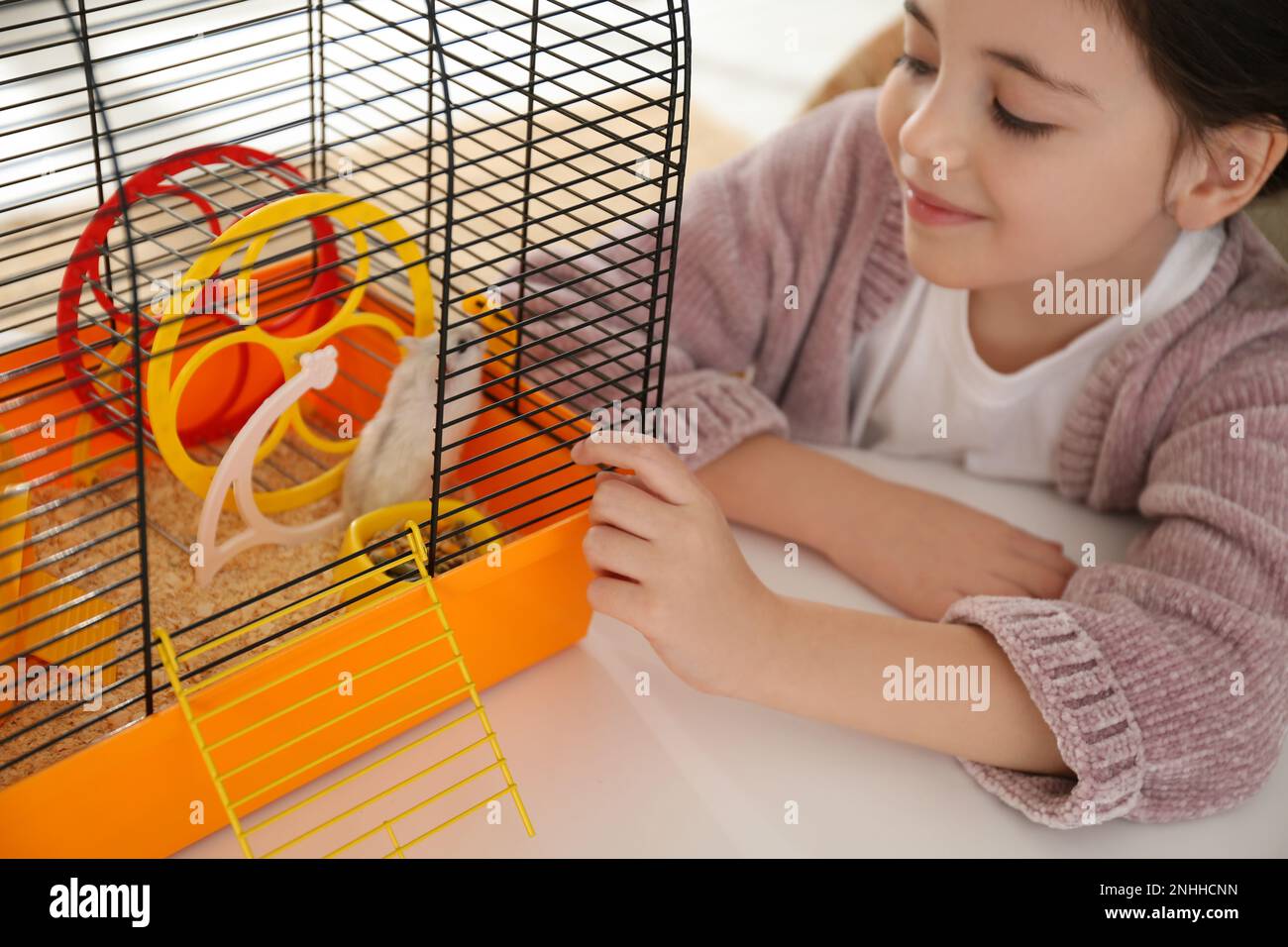 Little girl and her hamster in cage at home Stock Photo