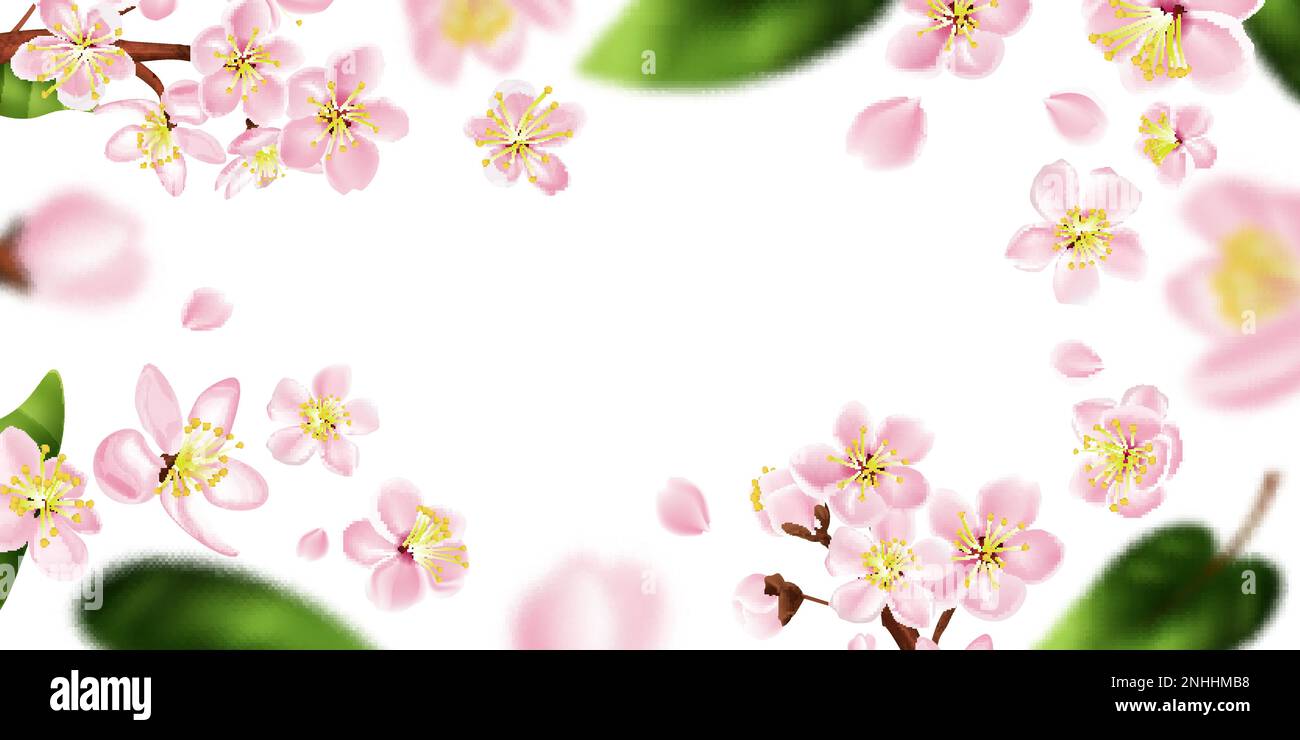 Fruit tree branch frame with white flowers realistic vector ...