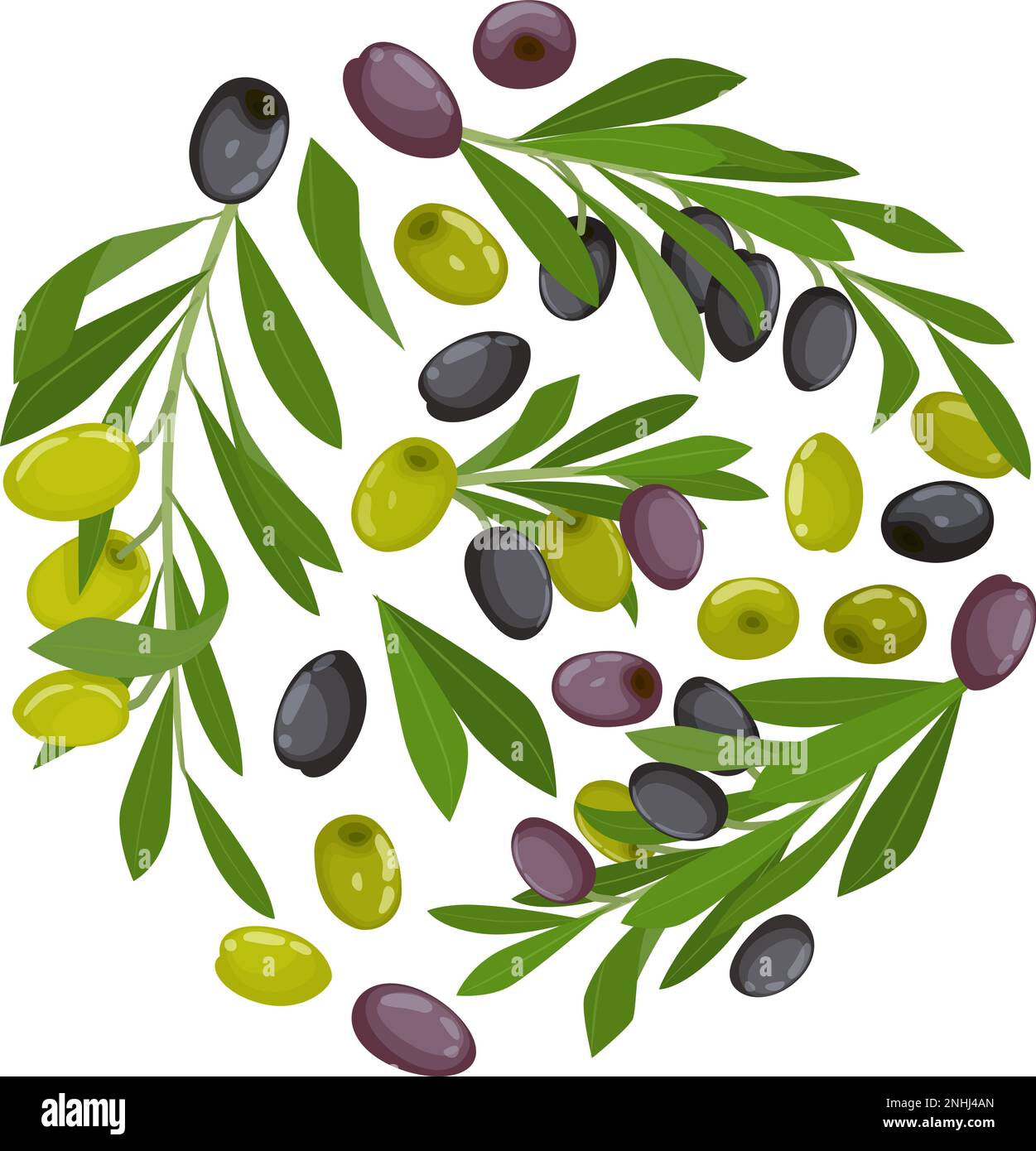 Olives flat round composition with green and black olives on branches ...