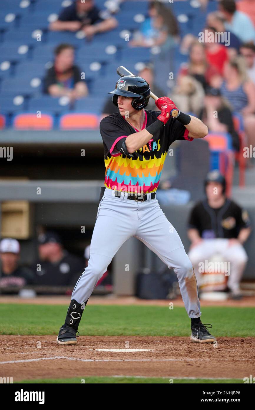 Erie Pinatas Gage Workman (27) bats during an Eastern League baseball