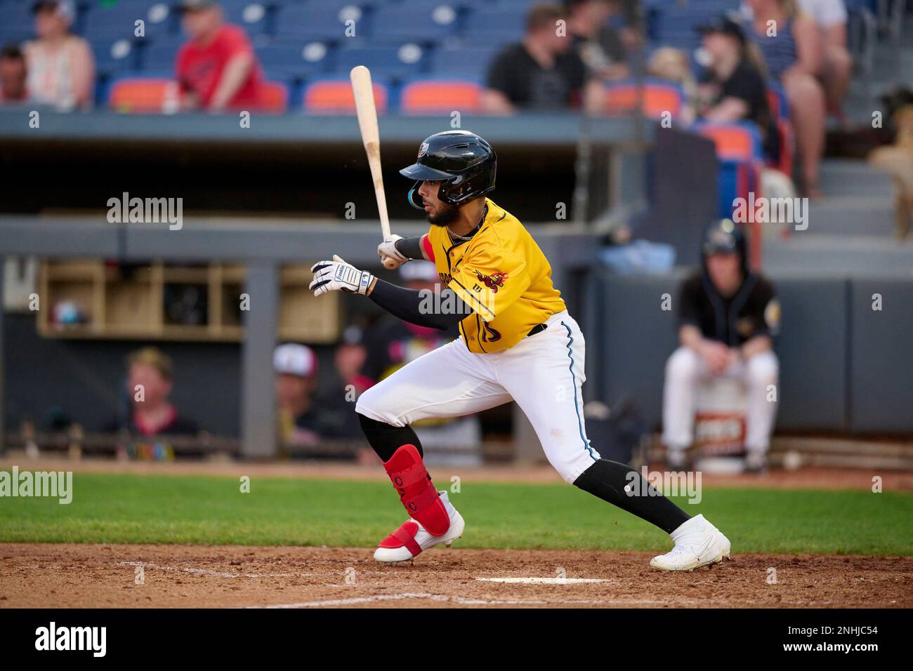 Perros Calientes De Akron Valera (13) bats during an Eastern