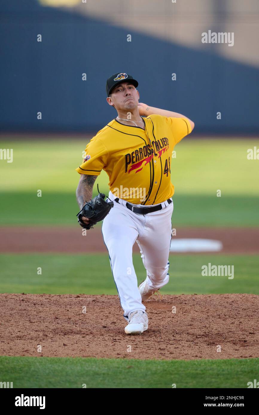 Perros Calientes De Akron pitcher Jaime AriasBautista (48) during an