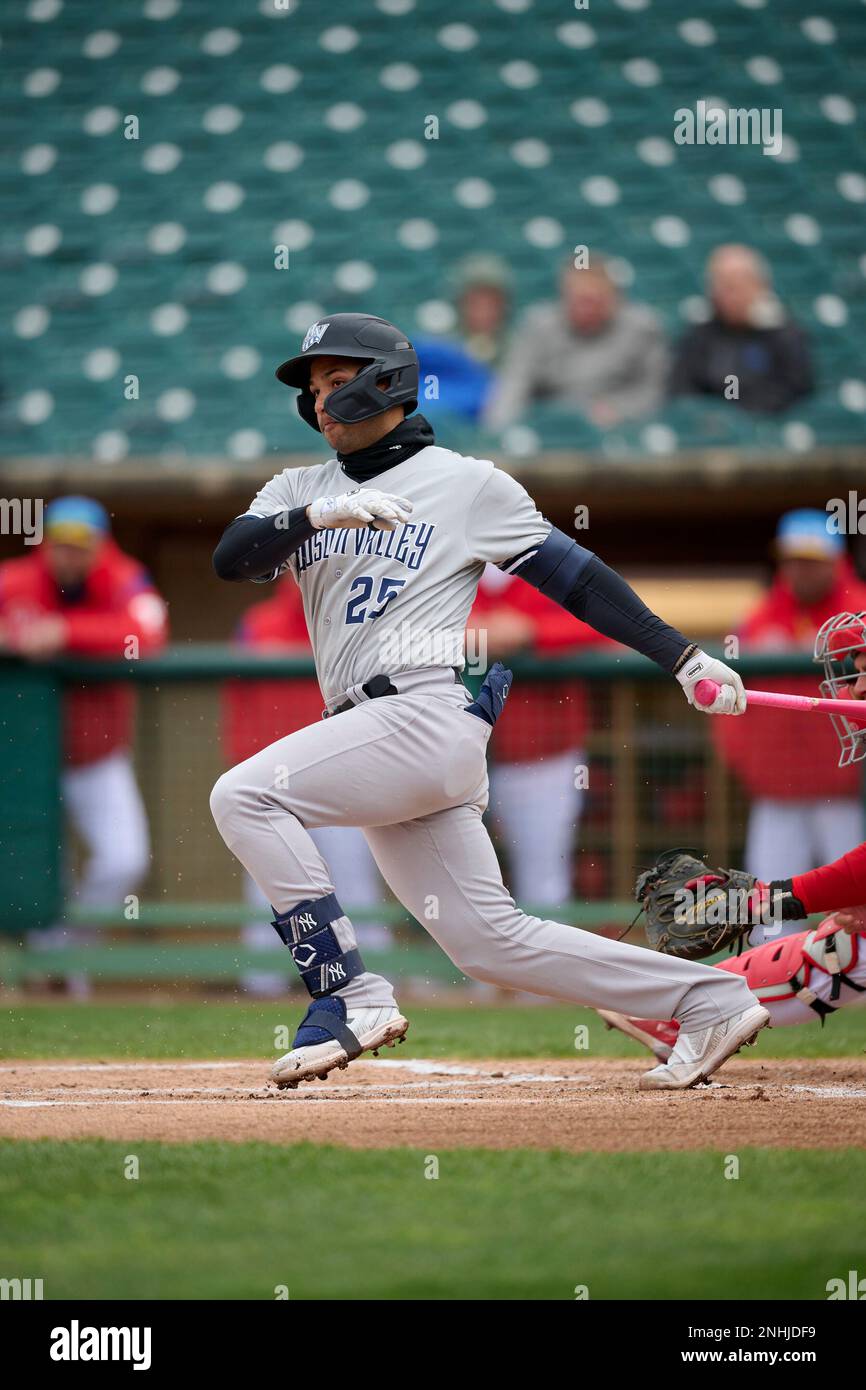 Hudson Valley Renegades Everson Pereira (25) bats during a South
