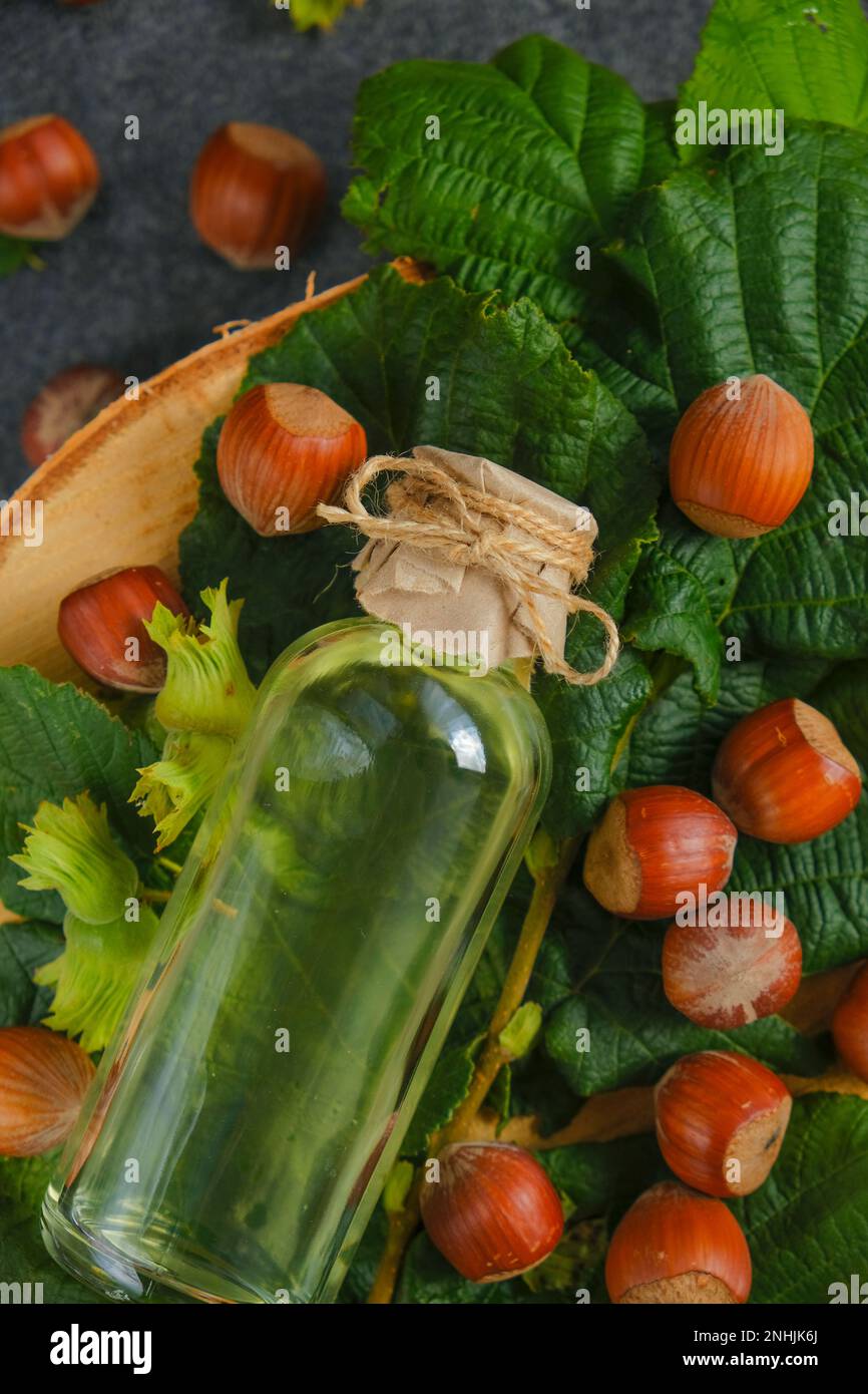 Hazelnut oil. unshelled hazelnuts on a tree cut on a black slate