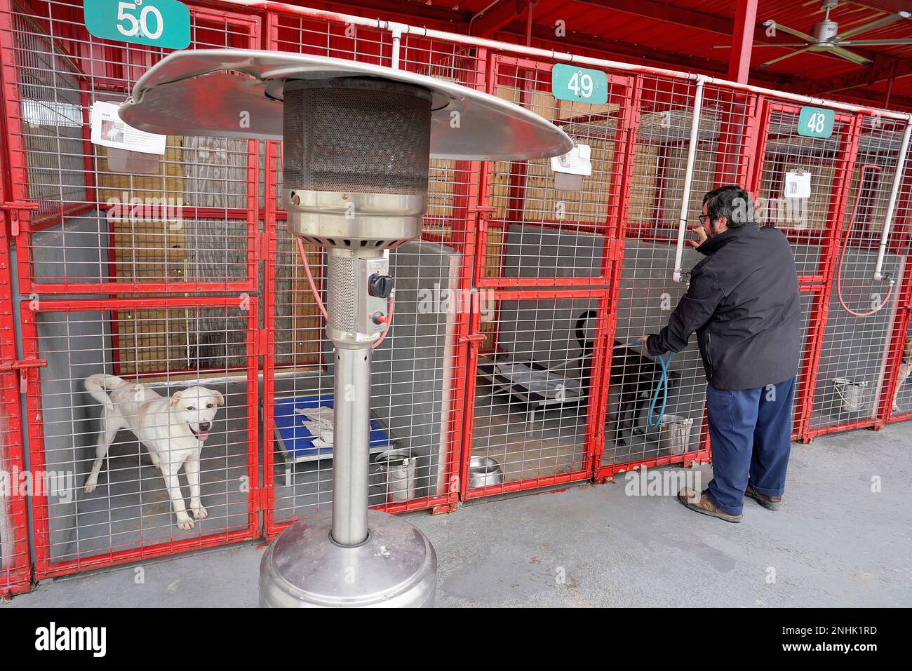 Propane outdoor heaters rest next to pens as animals are prepared for