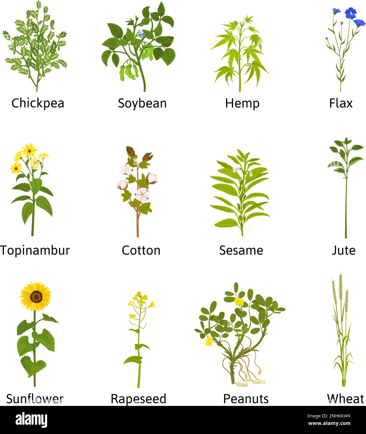 Technical flowers and plants set with flat isolated icons of sprouts with leaves flowers and text vector illustration Stock Vector
