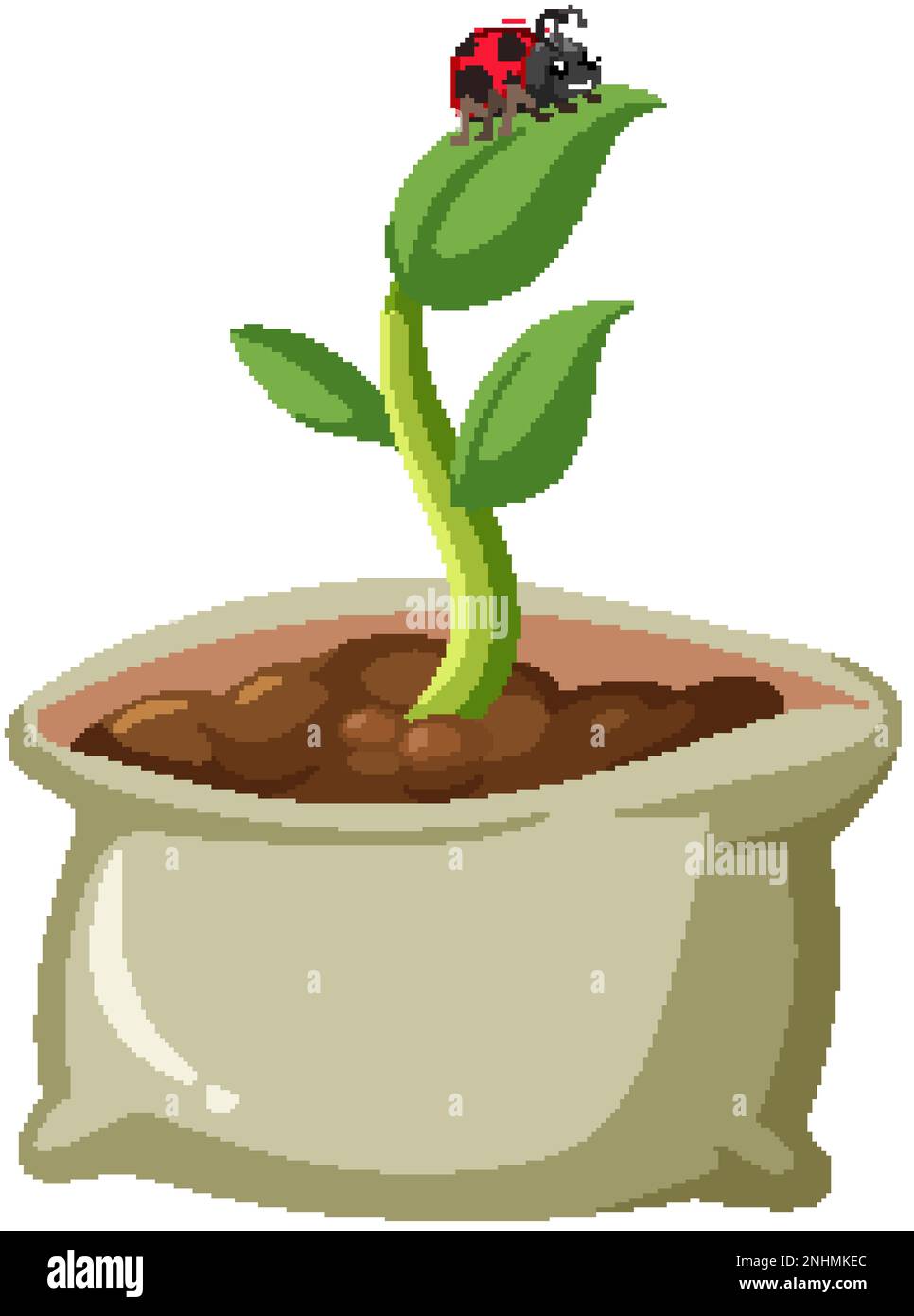 Plant growing in soil sack illustration Stock Vector Image & Art - Alamy