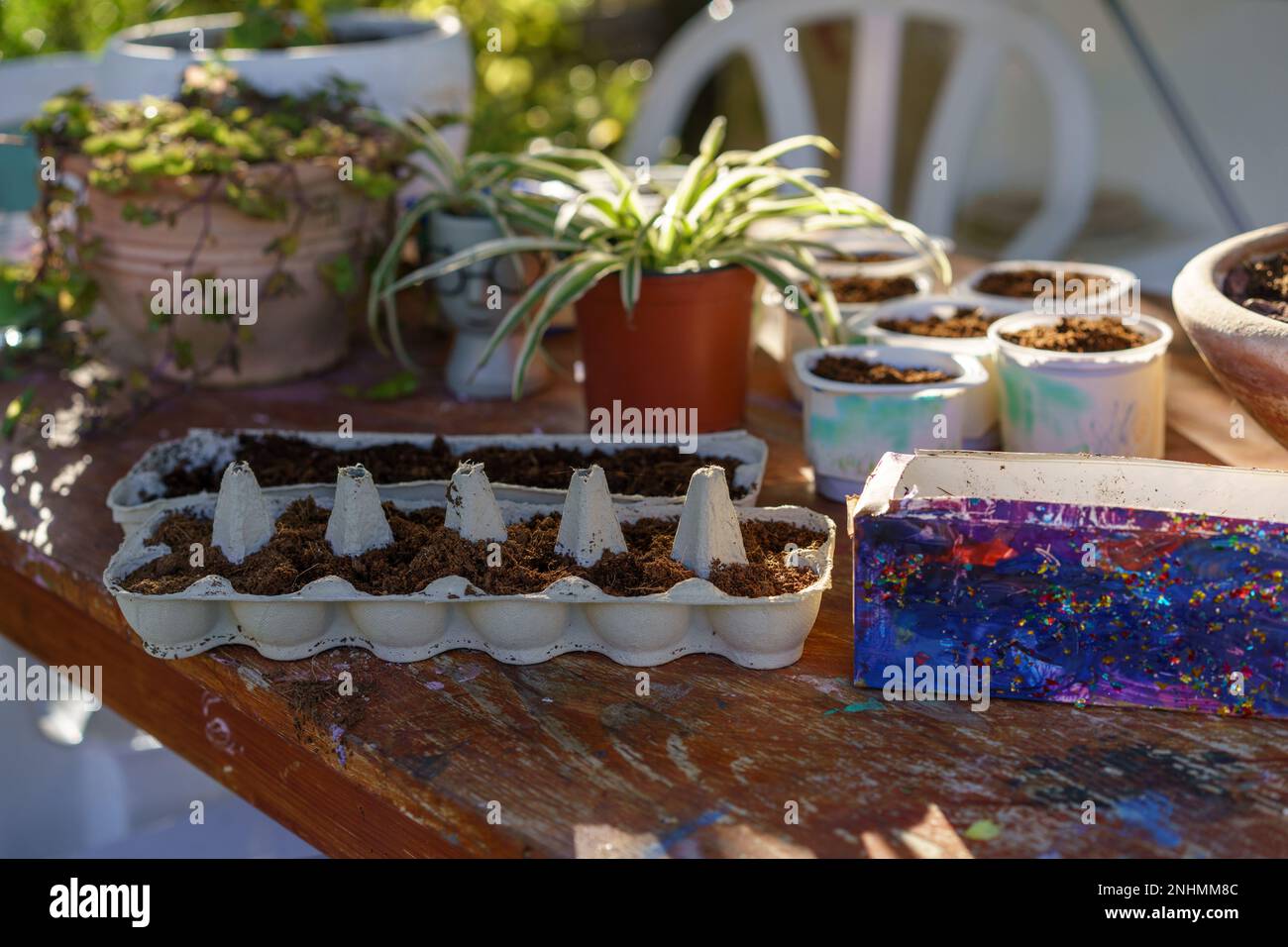 Creative Ways to Use Old Egg Cartons, Yogurt Tubs And Milk CartonsGrow Seedlings. Earth Day