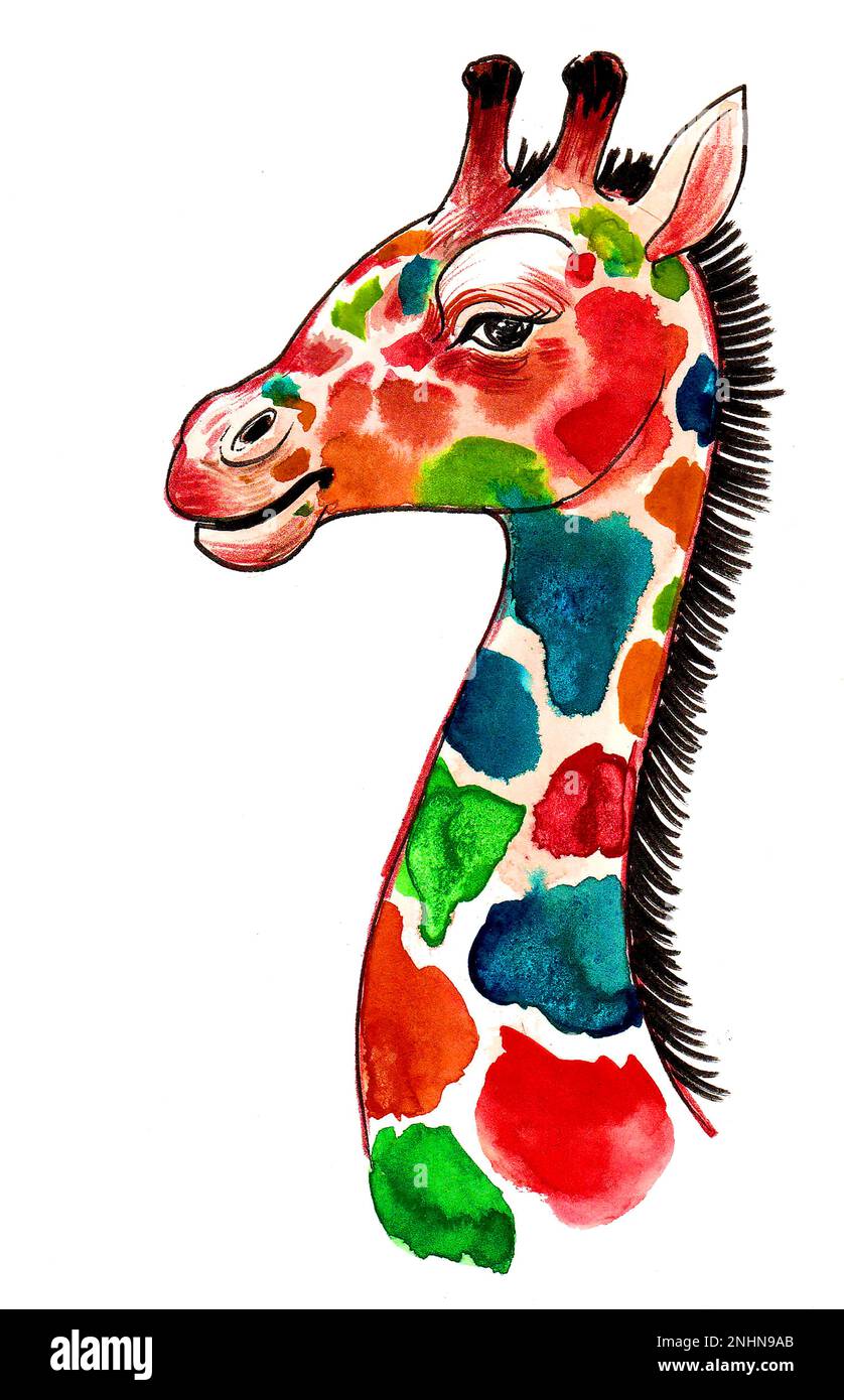 Colorful giraffe head. Ink and watercolor drawing Stock Photo - Alamy