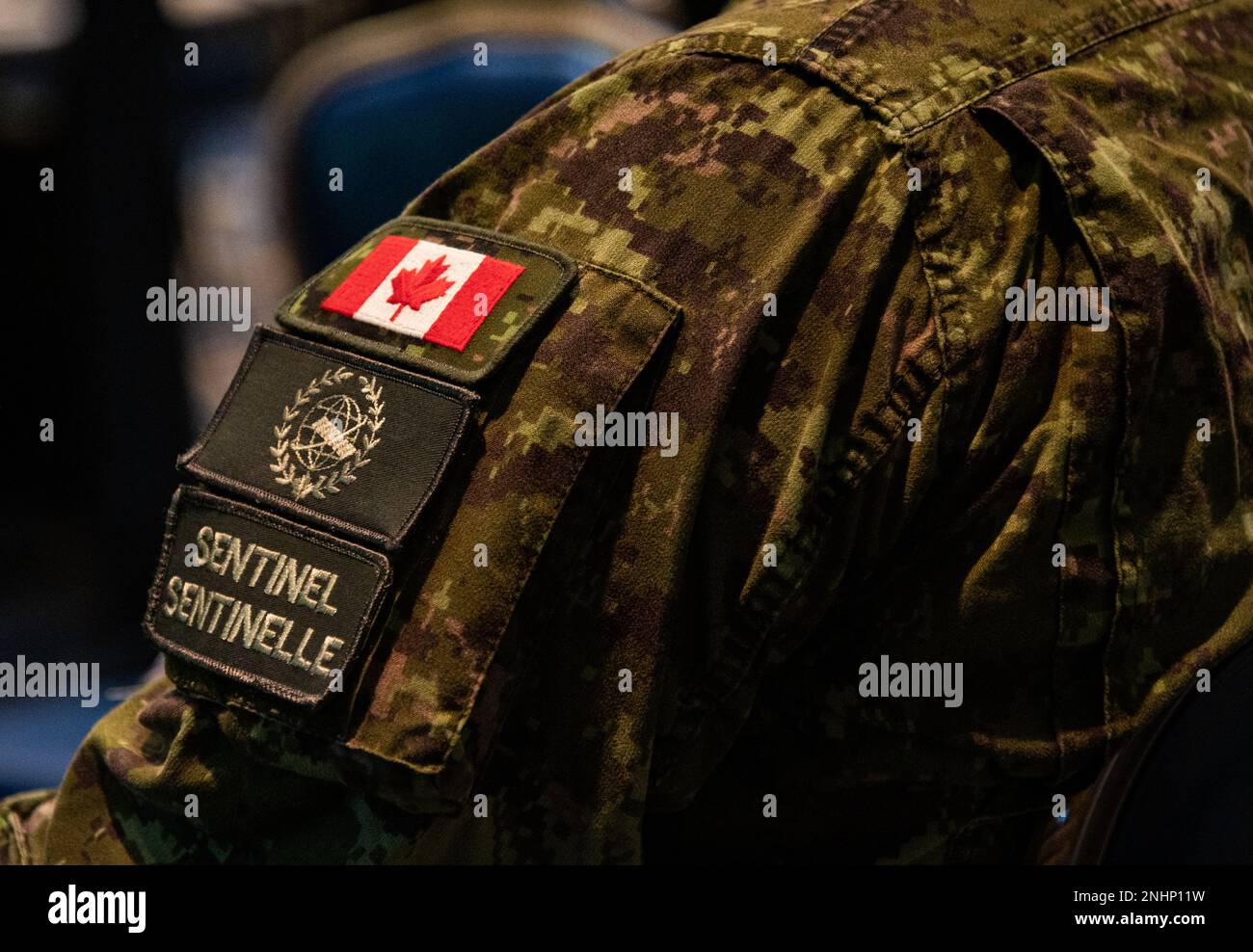 Global sentinel 2022 hi-res stock photography and images - Alamy
