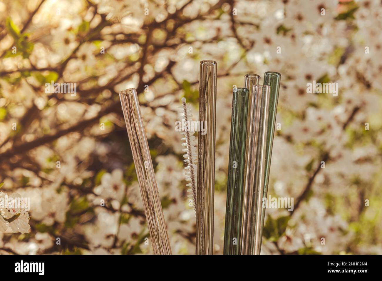 https://c8.alamy.com/comp/2NHP2N4/reusable-glass-straws-on-nature-background-with-green-leafs-spring-flowers-eco-friendly-drinking-straw-set-reusable-comfortable-rounded-tip-zero-waste-plastic-free-concept-sustainable-lifestyle-picnic-concept-2NHP2N4.jpg