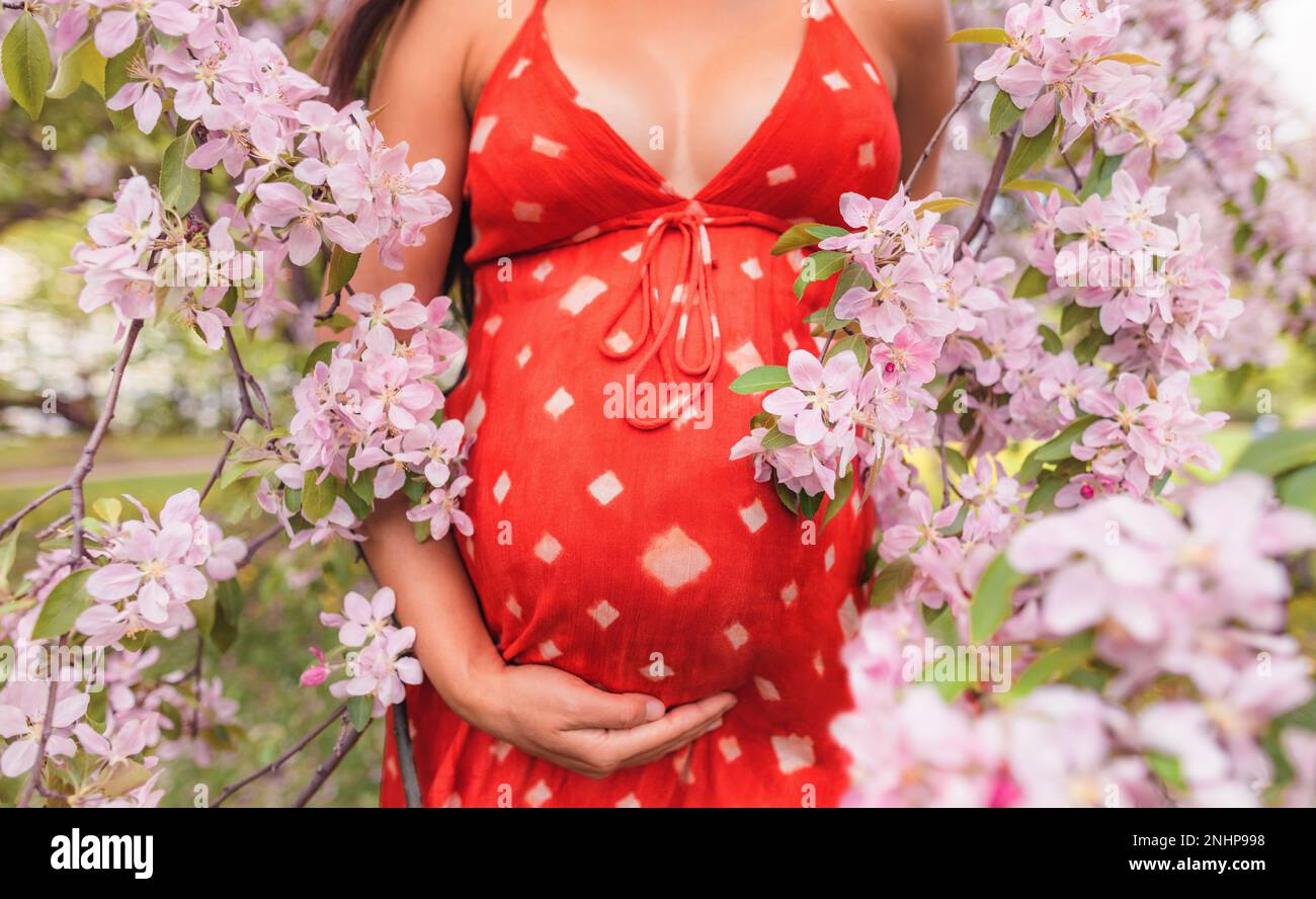 Pregnant woman belly closup with flowers. Pregnancy portrait in cherry ...