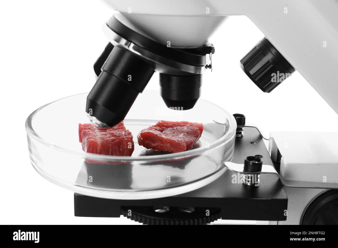 Petri dish with pieces of raw cultured meat under microscope on white