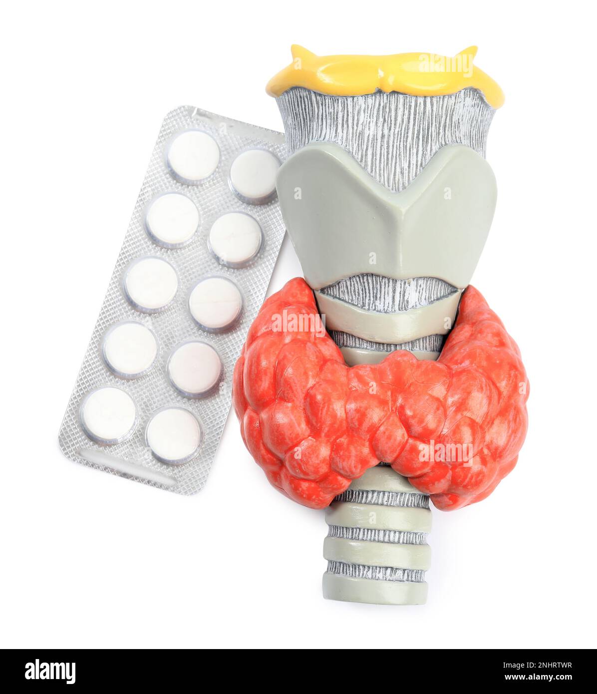 Plastic model of afflicted thyroid and pills on white background, top view Stock Photo