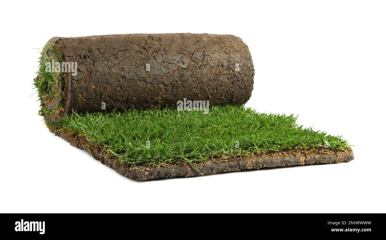 Rolled Sod With Grass On White Background Stock Photo - Alamy