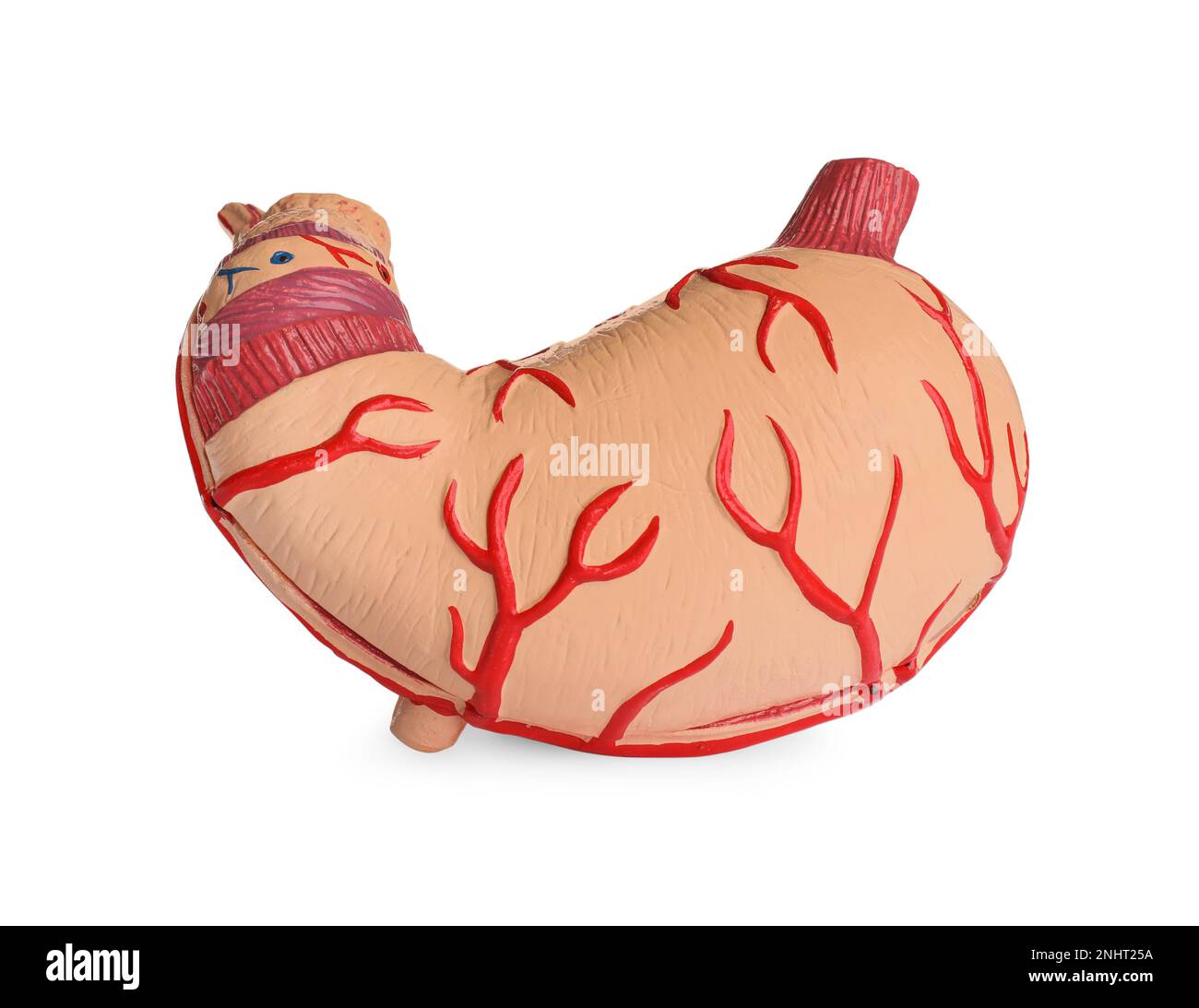 Anatomical pathology hires stock photography and images Alamy