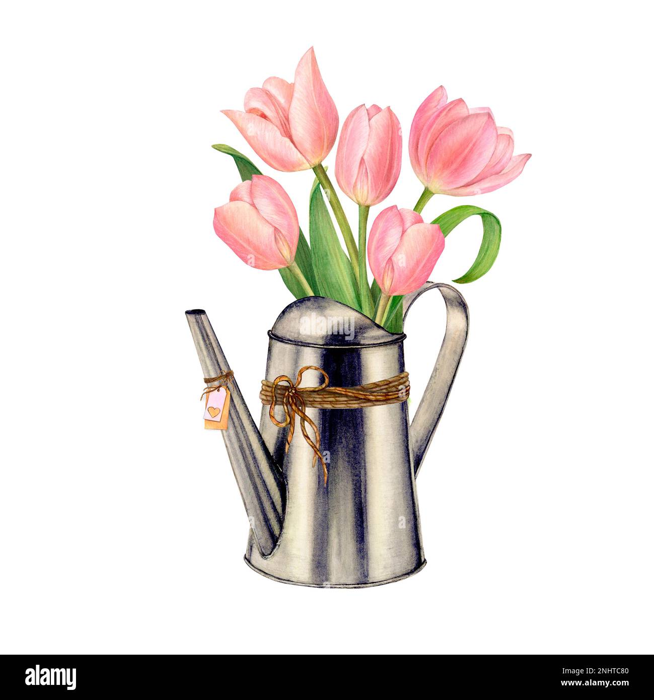 Watercolor painting of rich bouquet of pink tulips in a watering can. There are two jute ropes on the can and a name card  Stock Photo