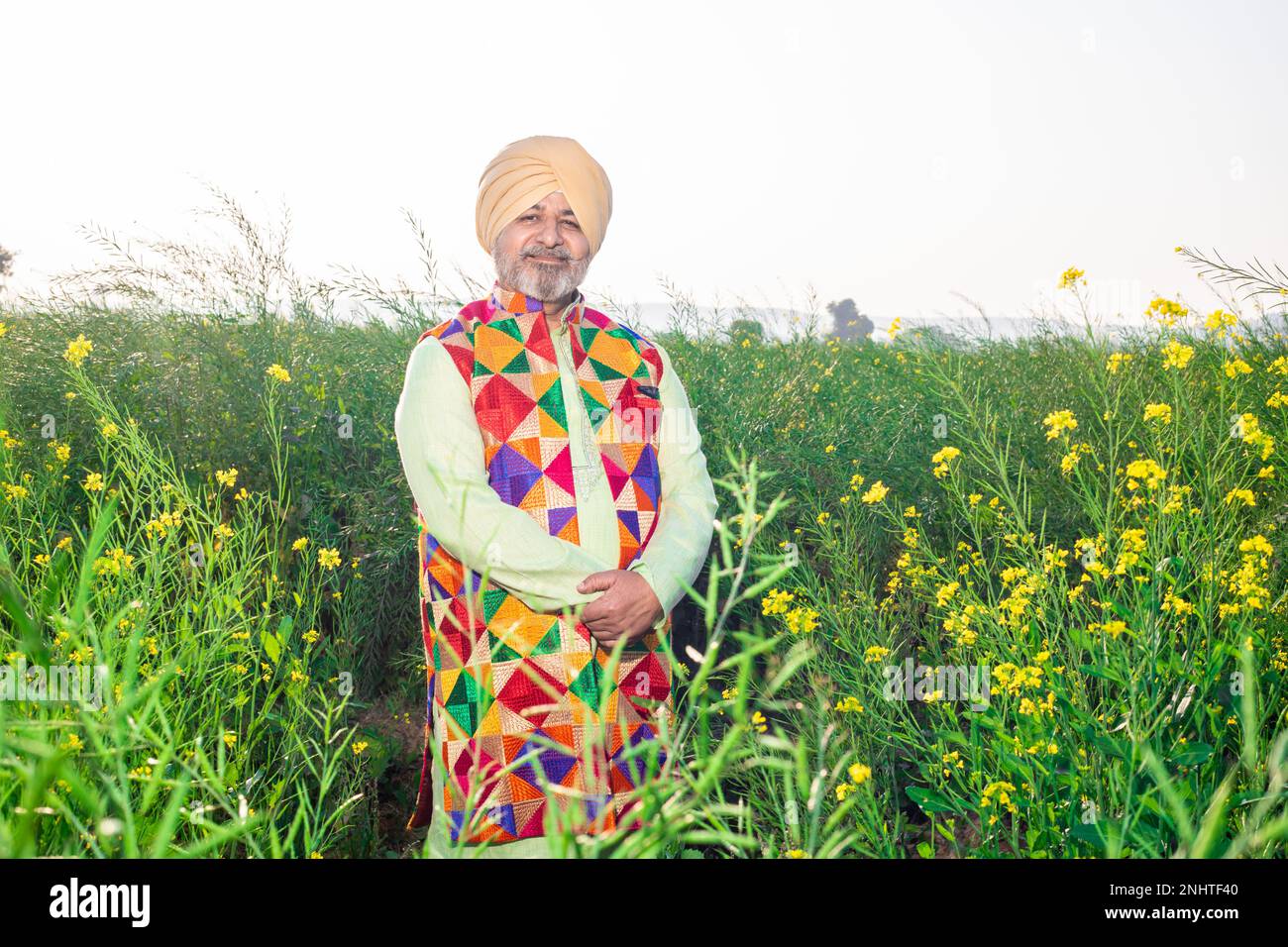 Portrait of Happy senior Punjabi sikh man wearing pagdi and colorful traditional outfit standing at agriculture field. Stock Photo