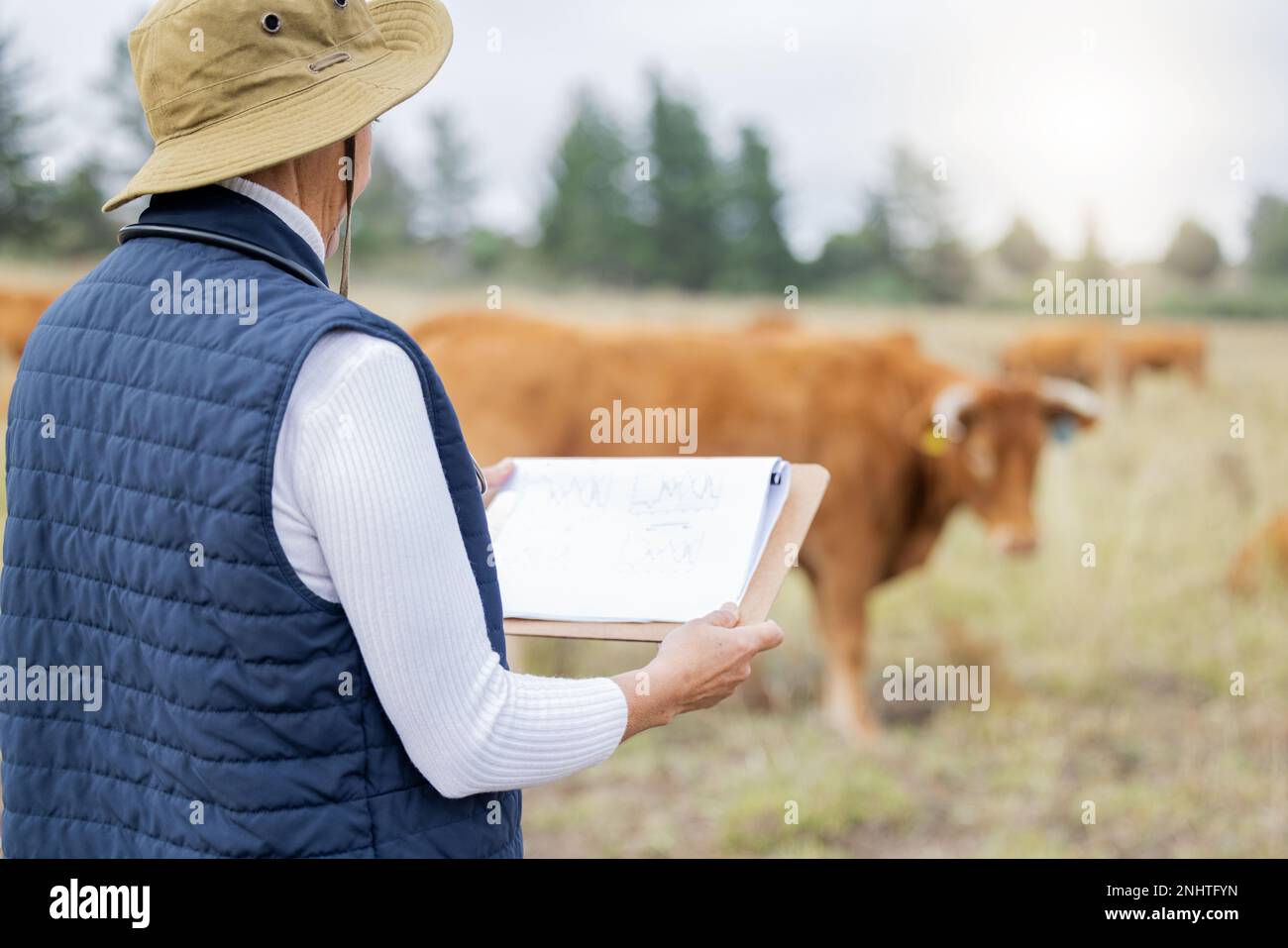 Farmer, cow or woman with checklist for animals healthcare, wellness or